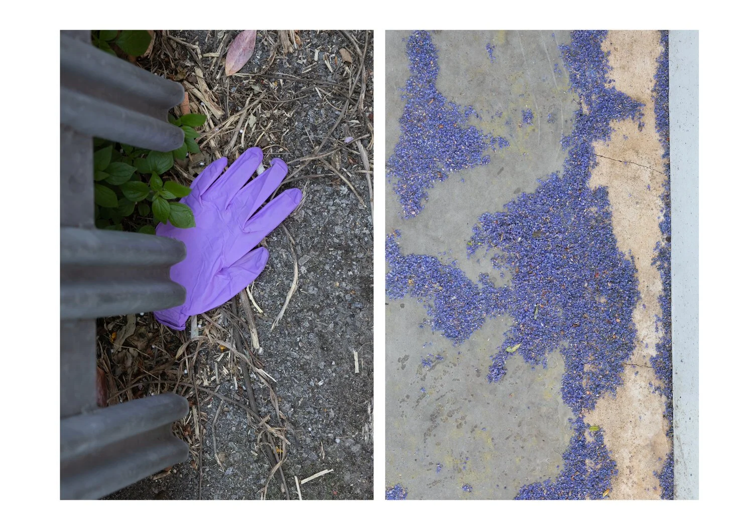 Postcards from the Pandemic — project by Natasha Durlacher