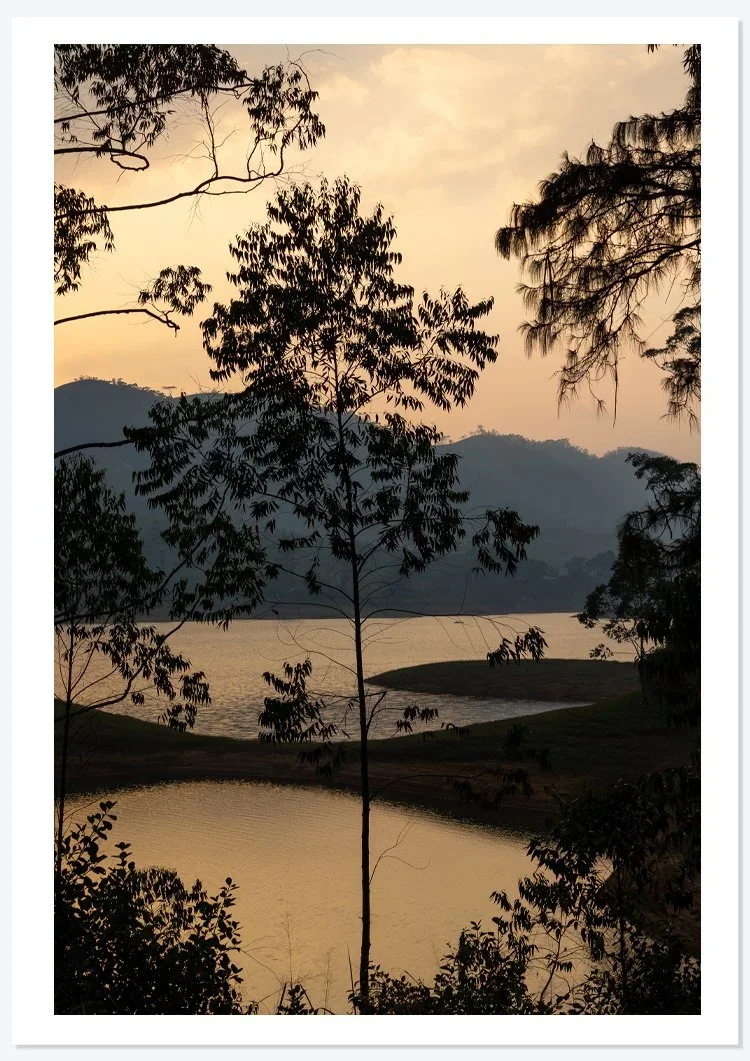 evening+light-1.webp