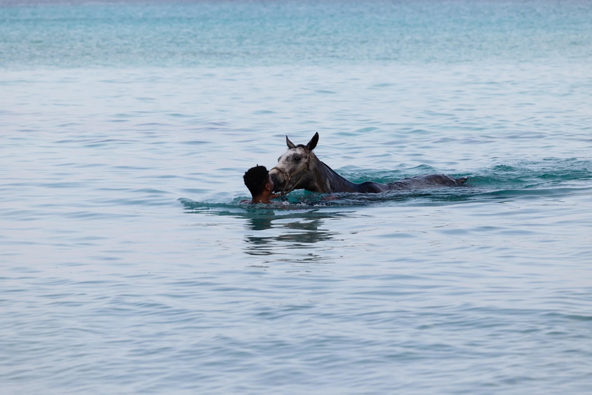 Together they Swim.jpg