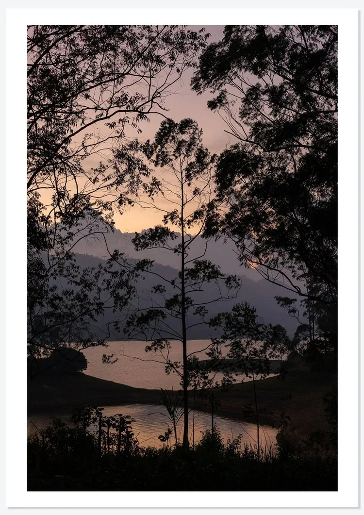 Rose+Dusk.webp
