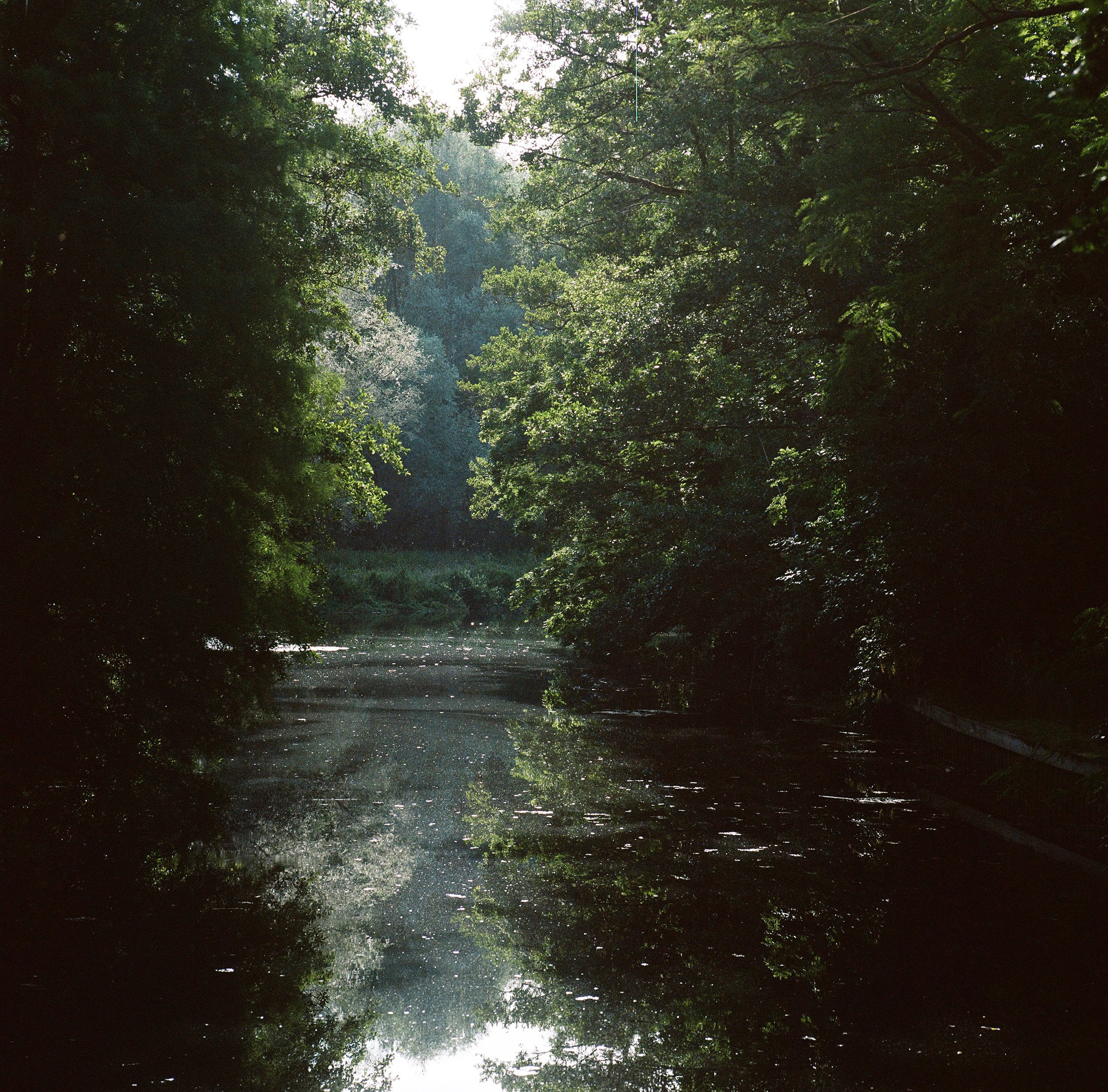 000001220010_010.jpg