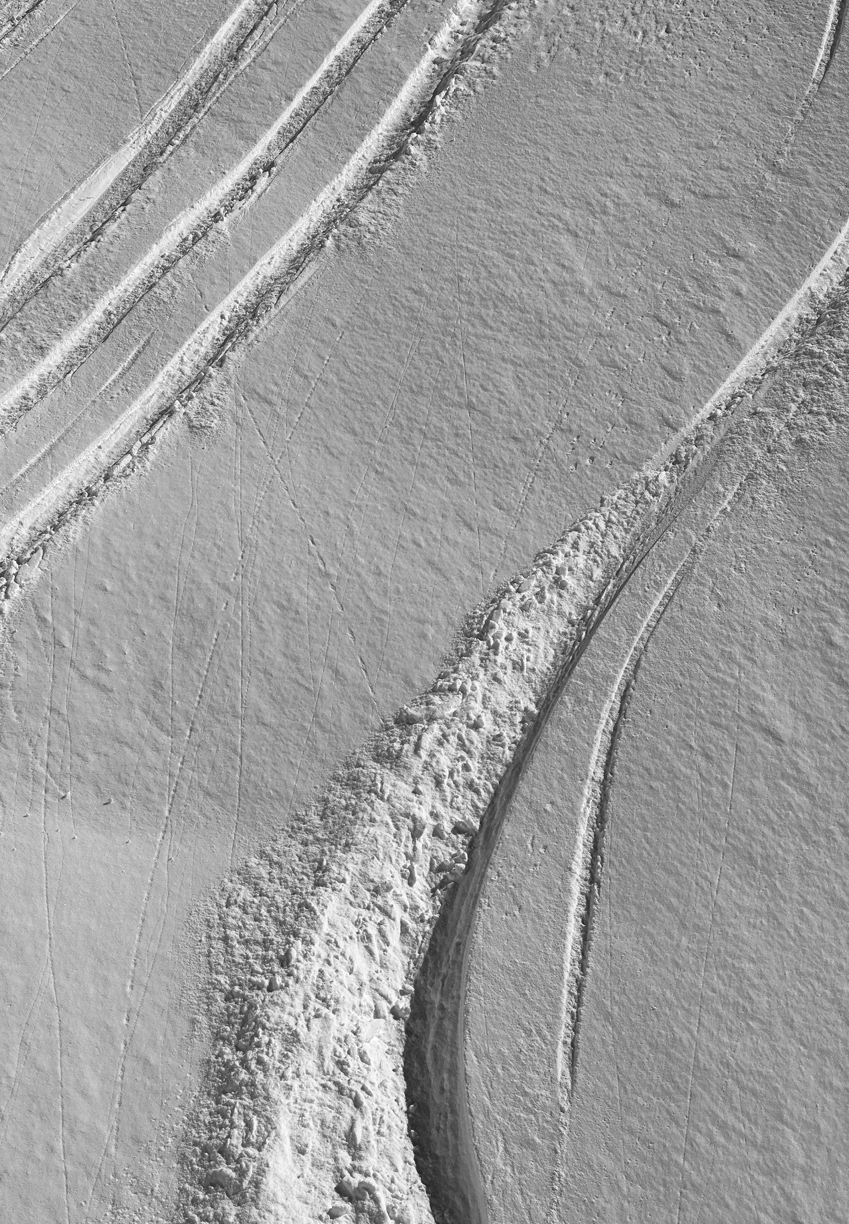 Tracks .jpg