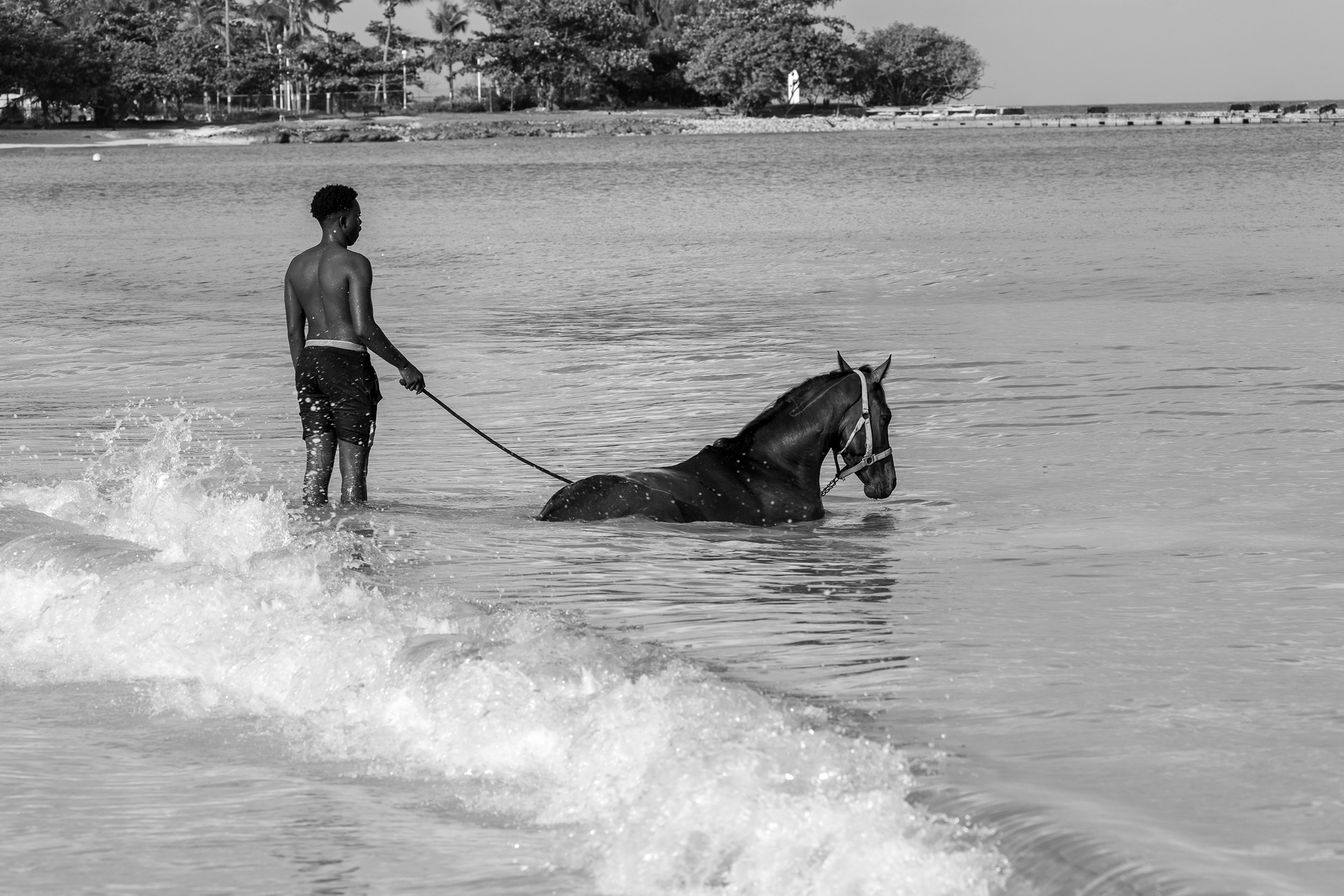 walk in the sea.jpg