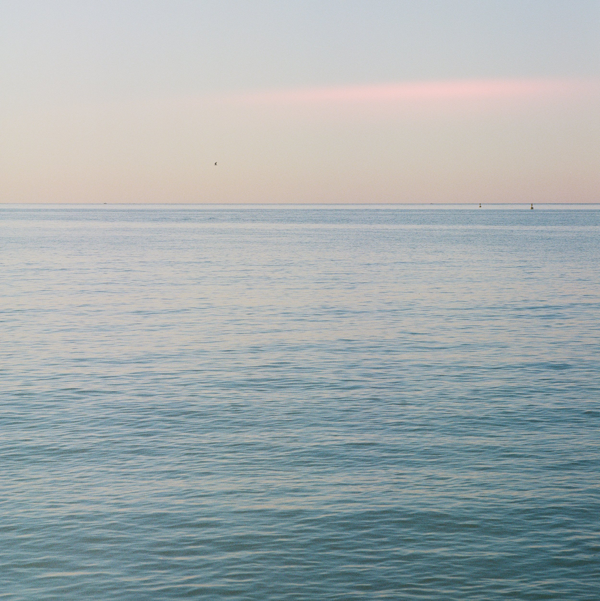 calm pink.jpg