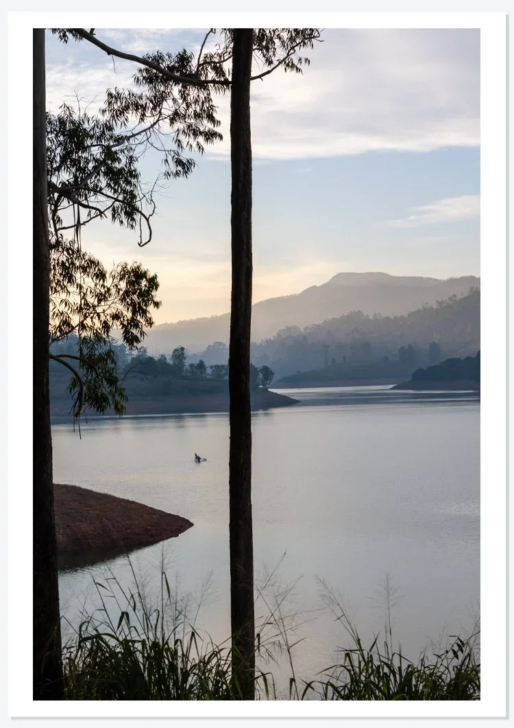 evening+light-2.webp