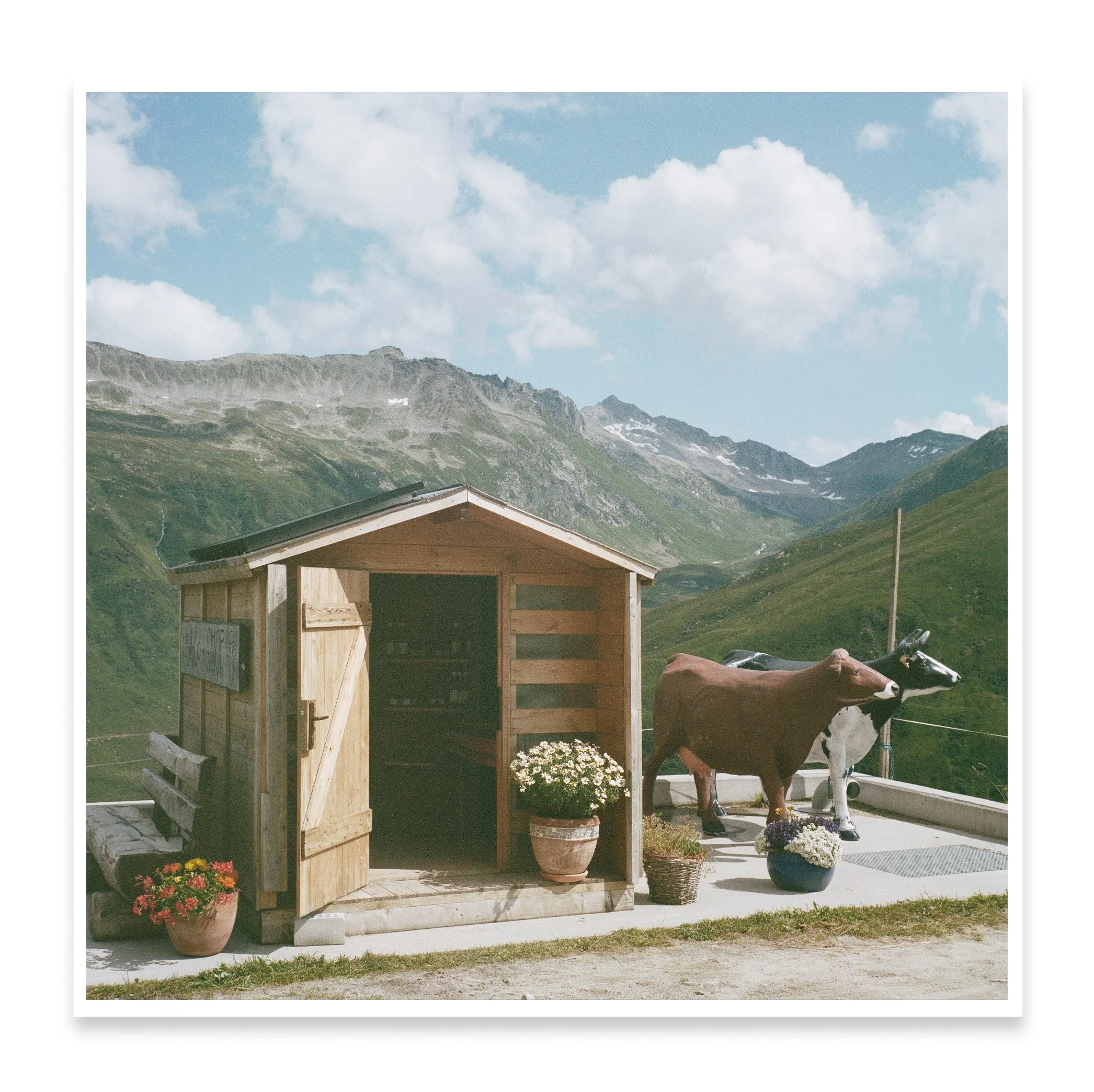 corner shop 2.jpg