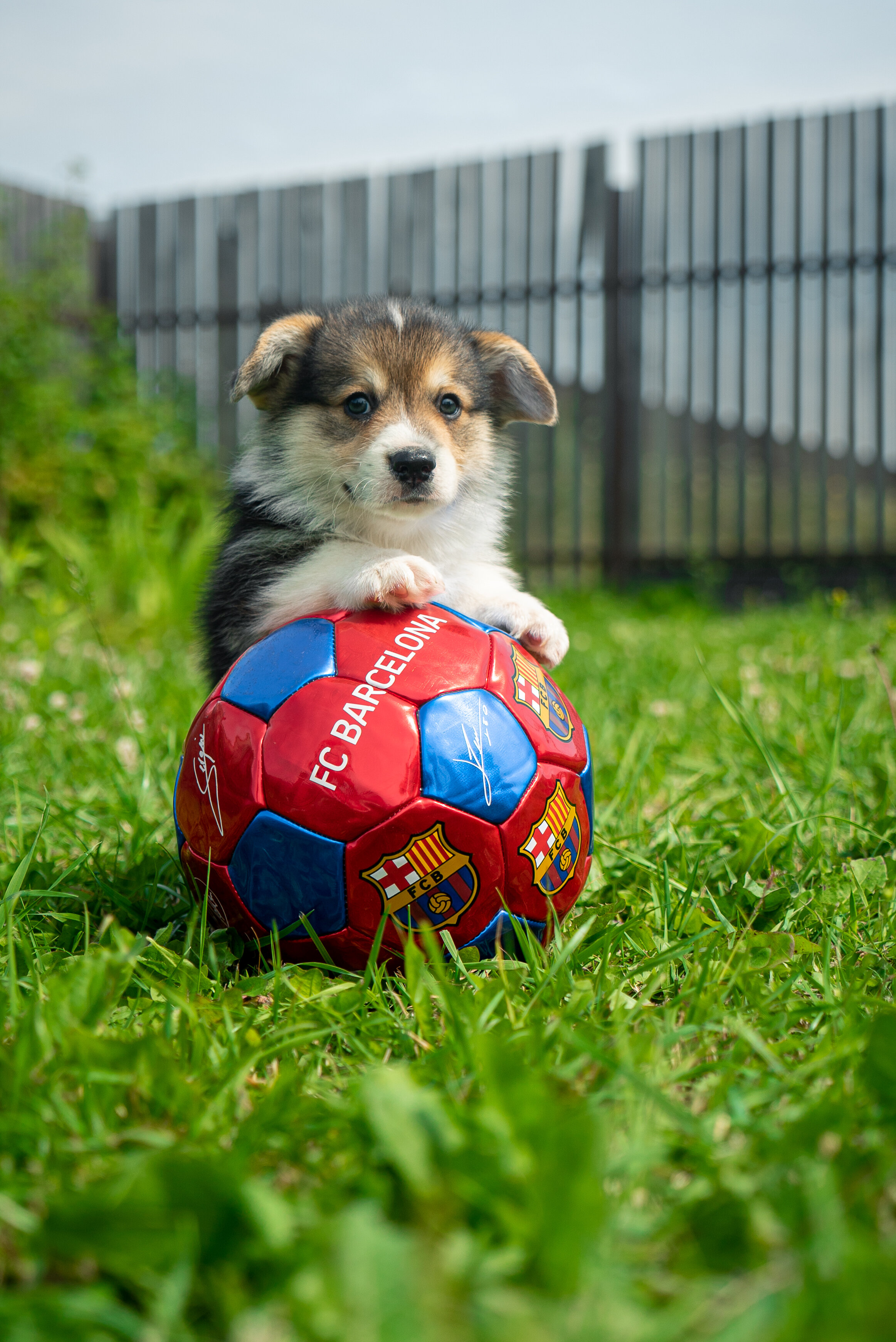 Football-Soccer