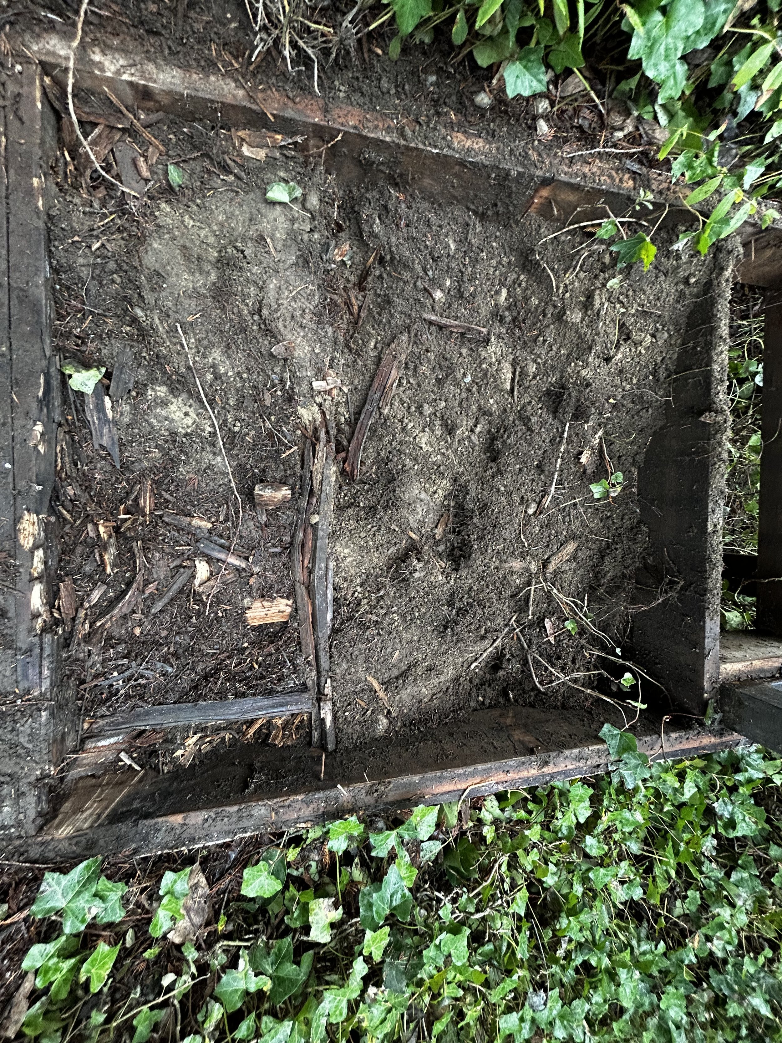 How to Repair This Rotten Home Entryway Deck Bellevue WA