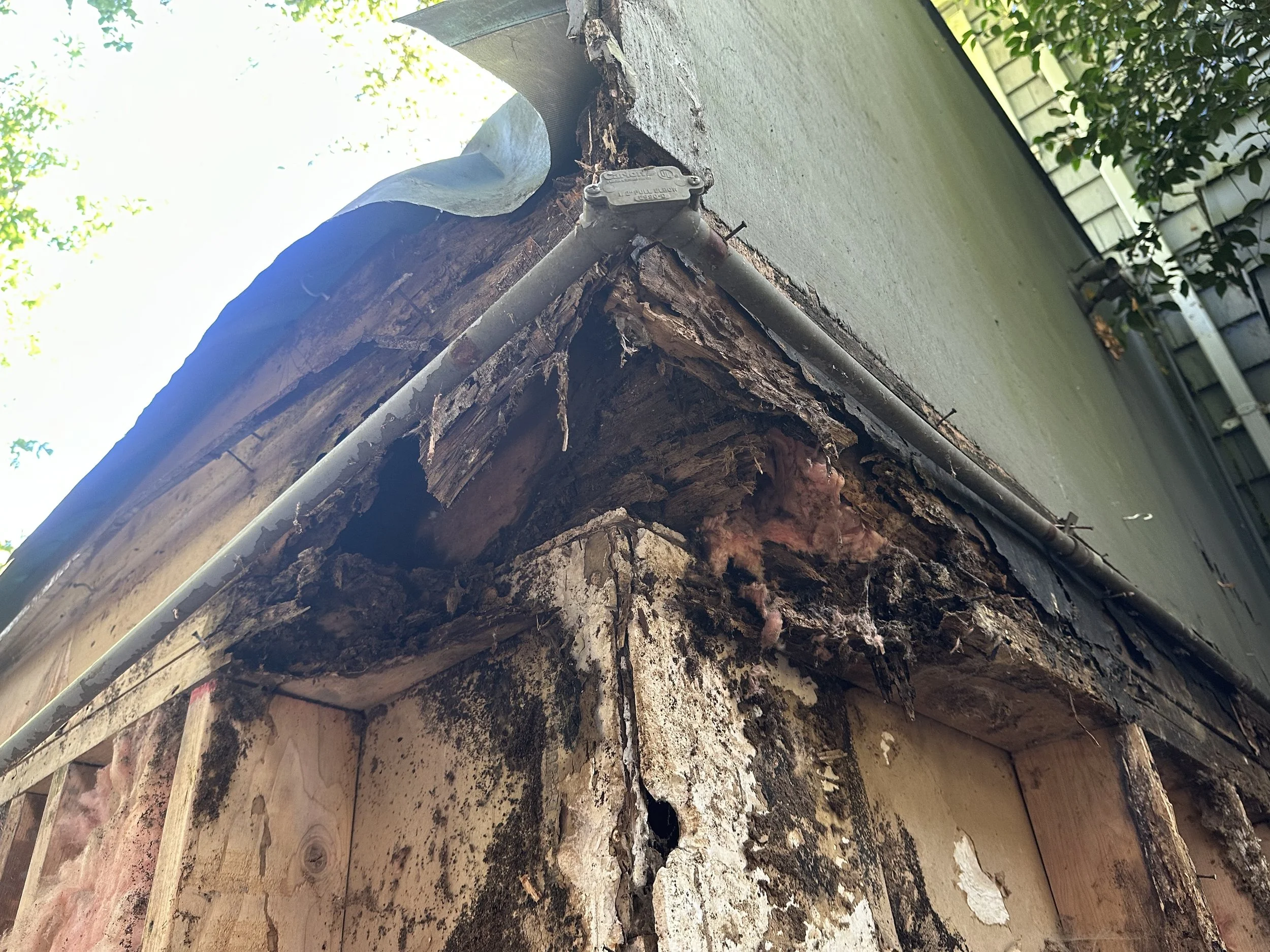 8175F275-F010-408F-AEA8-70EC67ED3C32Conquering Wood Rot in Seattle: How Baklinski Turns Hidden Decay into Home Heroes.jpeg