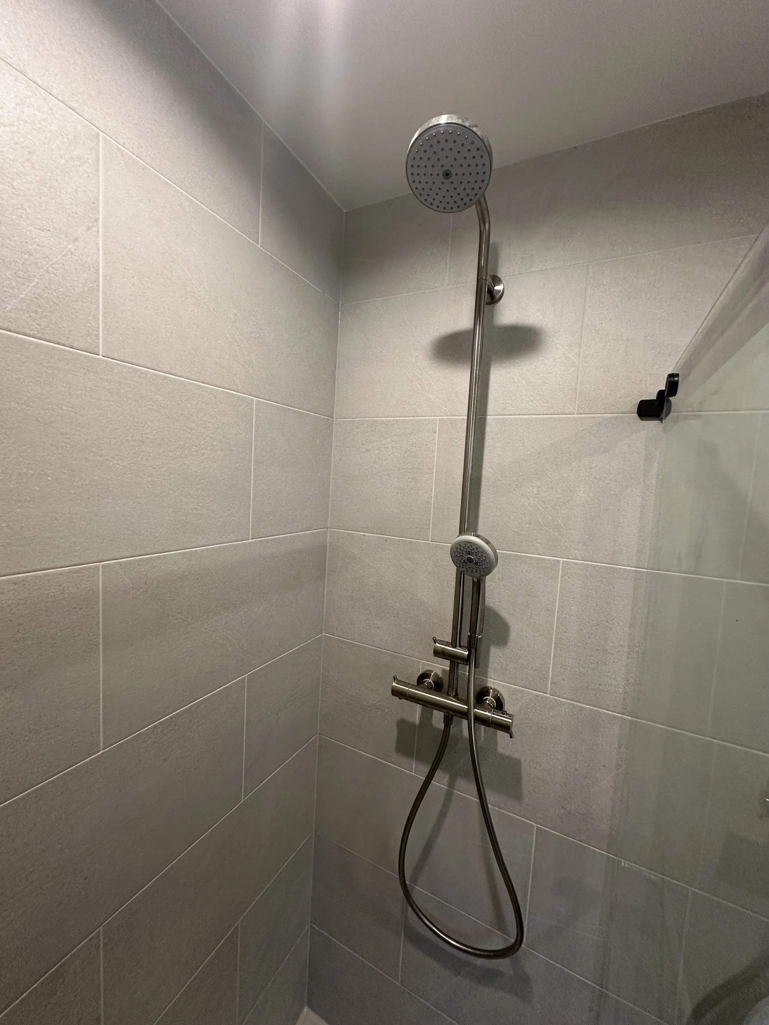 Luxury European Shower Upgrades in Seattle