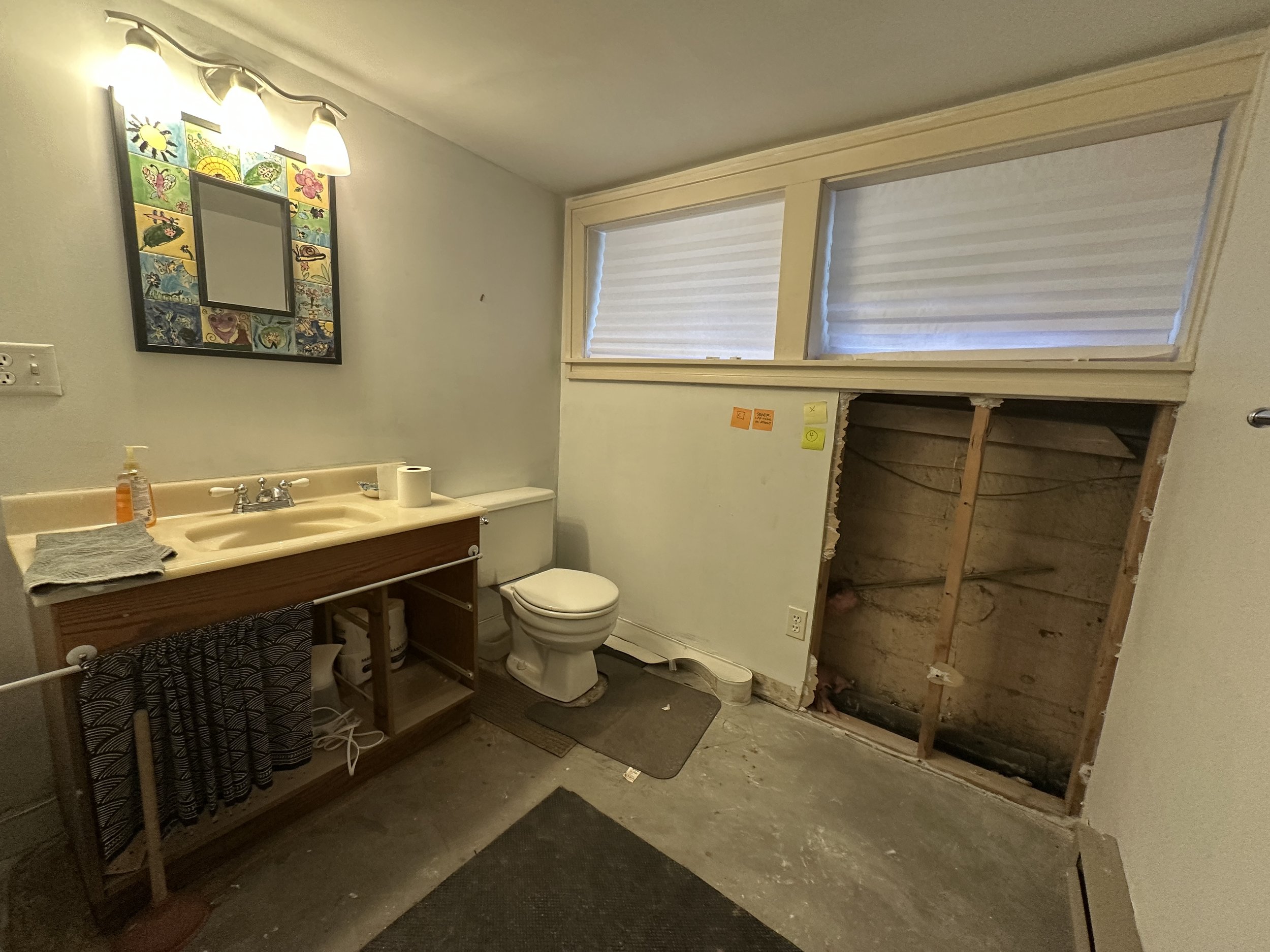 Turning Your Seattle Basement 3/4 size Bath into a Full Oasis: A quick Dive into Demo Delight