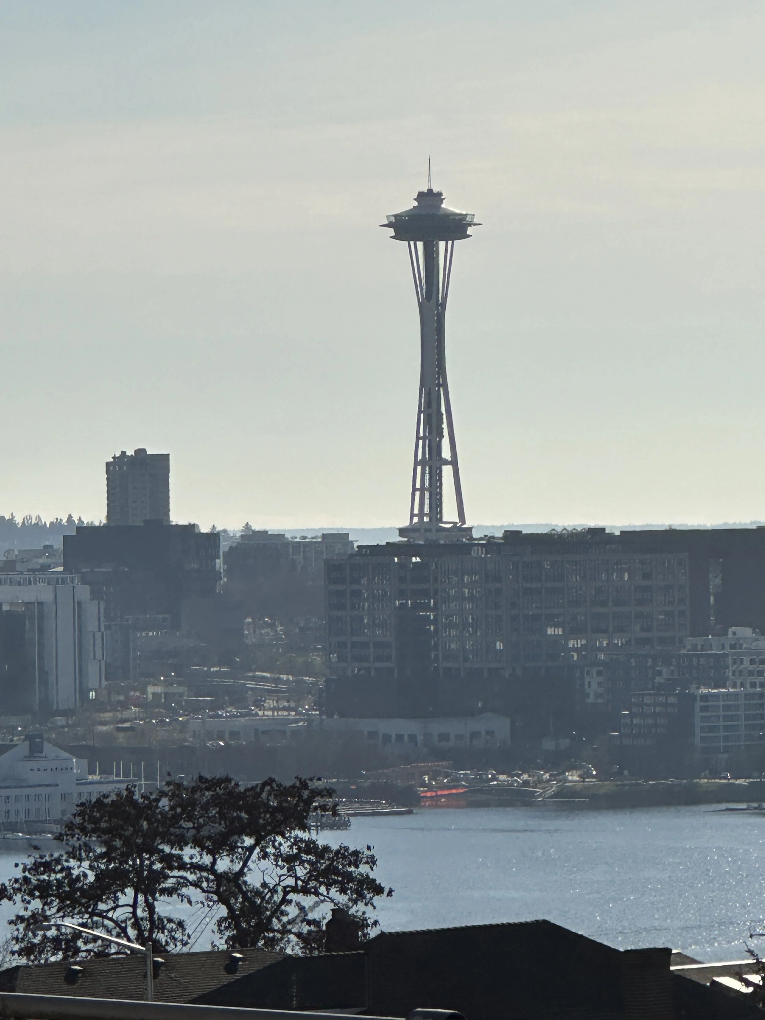 Downtown Seattle view from a recent Baklinski handyman job site