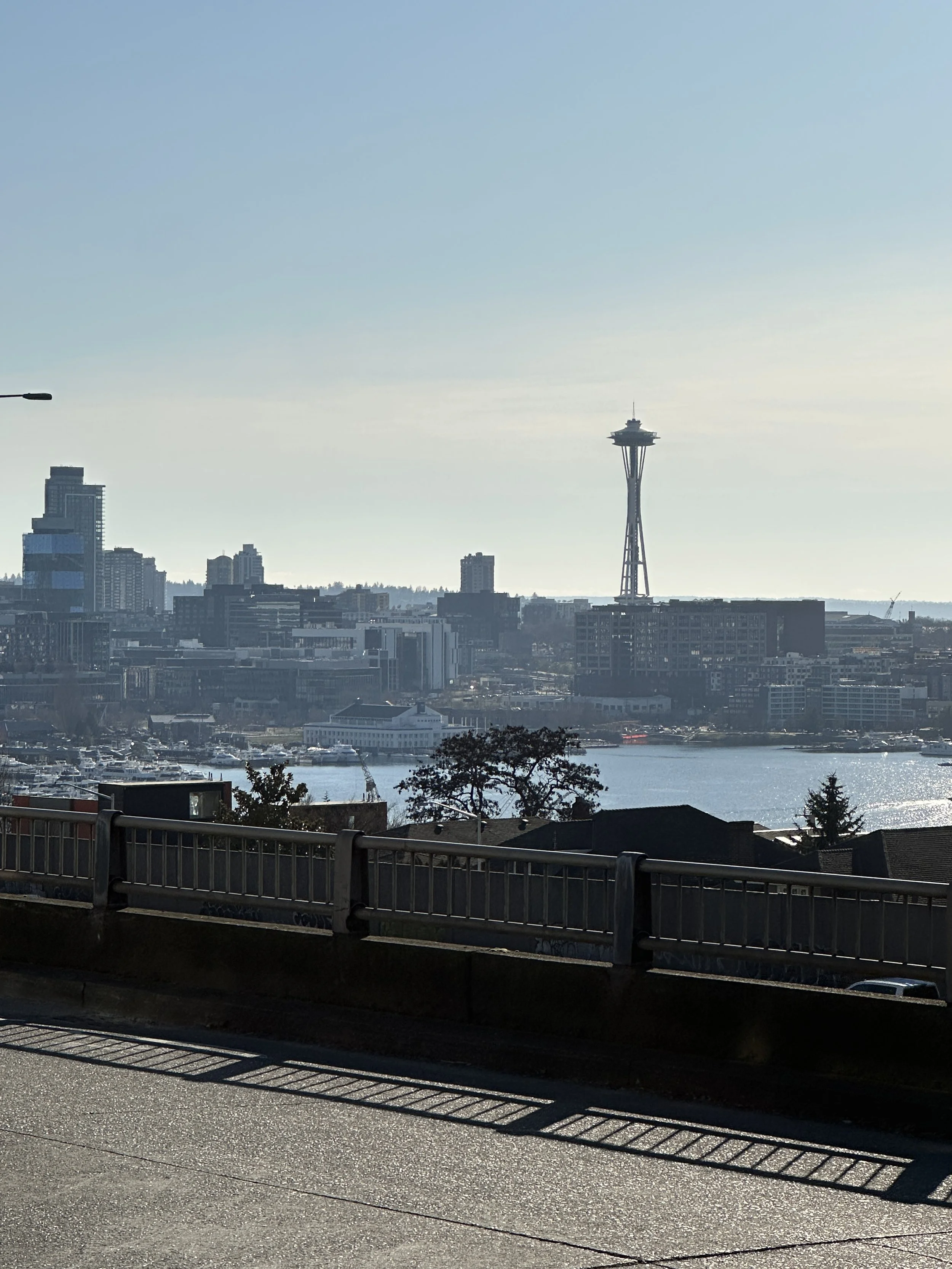 Spot Our Yard Sign in Seattle? Your Neighbor Just Got the Ultimate Handyman Glow-Up!