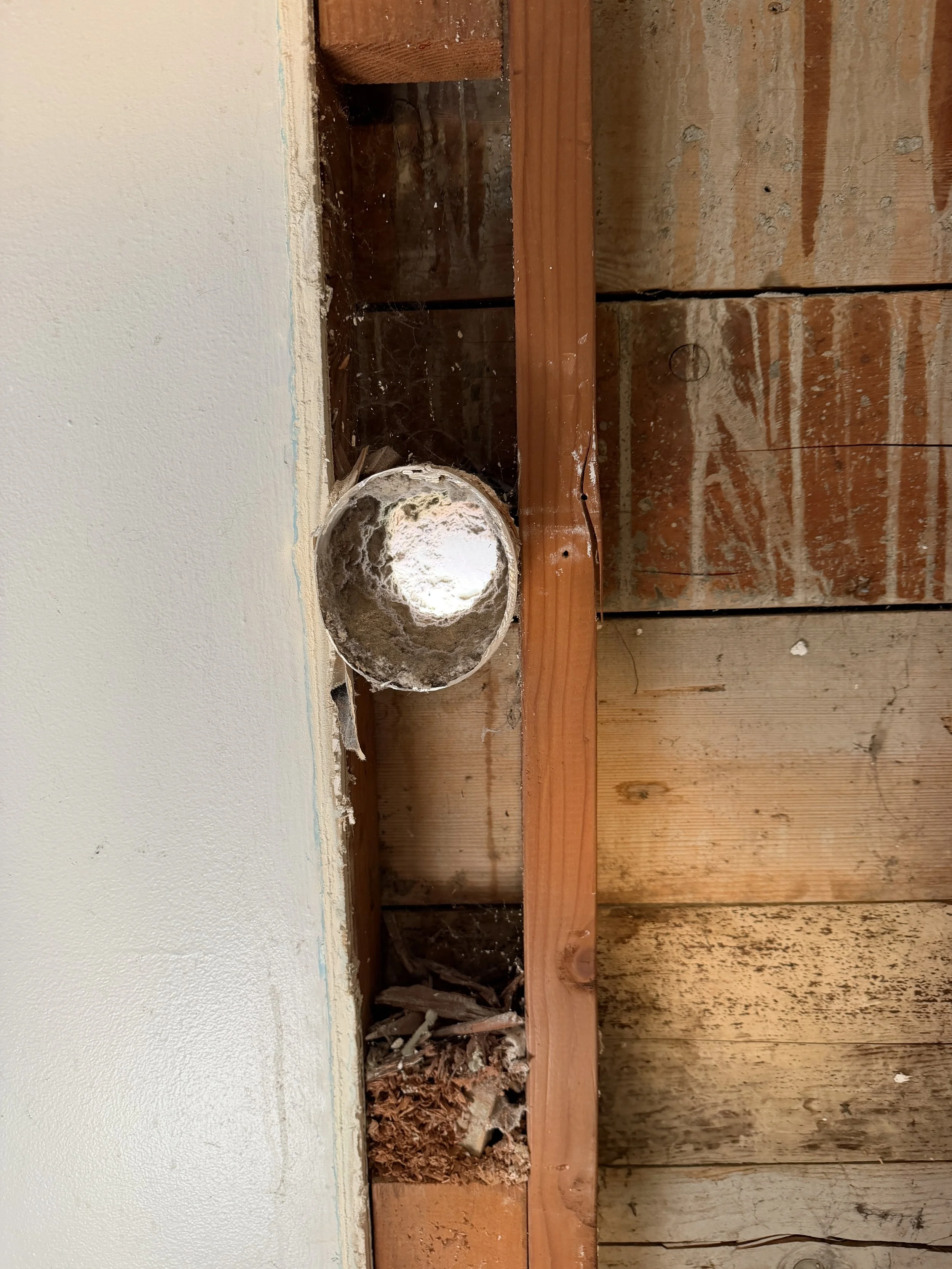 Before/after photo of dryer vent area turned into stylish shower