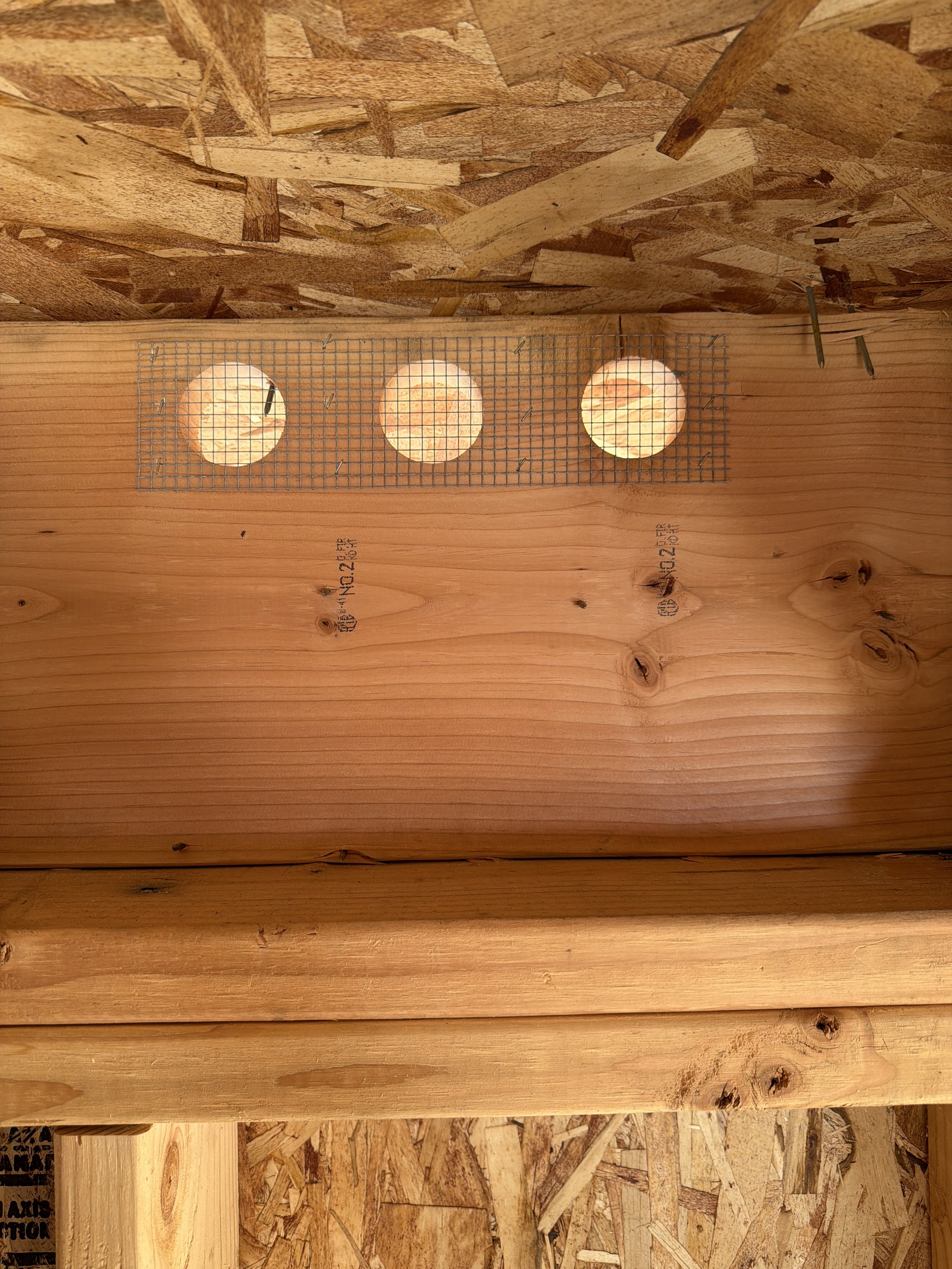 Soffit vents with bird blocking mesh for proper roof ventilation in Bellevue homes
