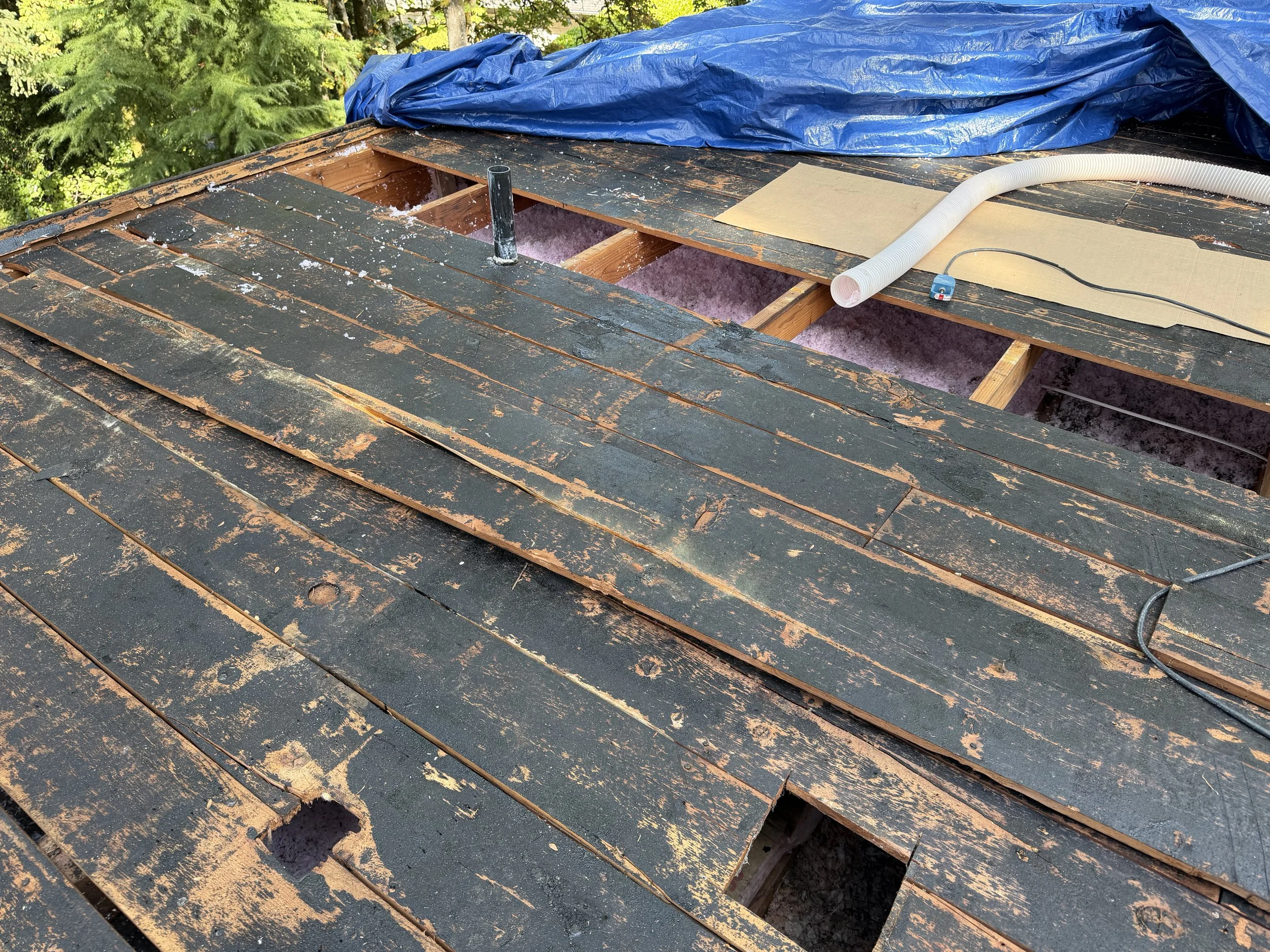 We Opened a Greater Seattle Roof and Found Almost No Insulation. Here’s Why That’s a Problem… and an Opportunity.