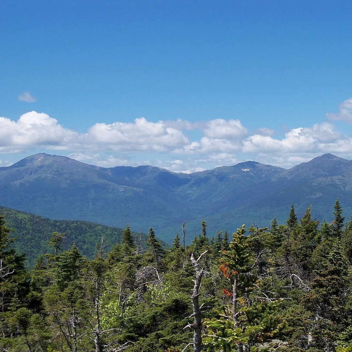 Presidential Range Group