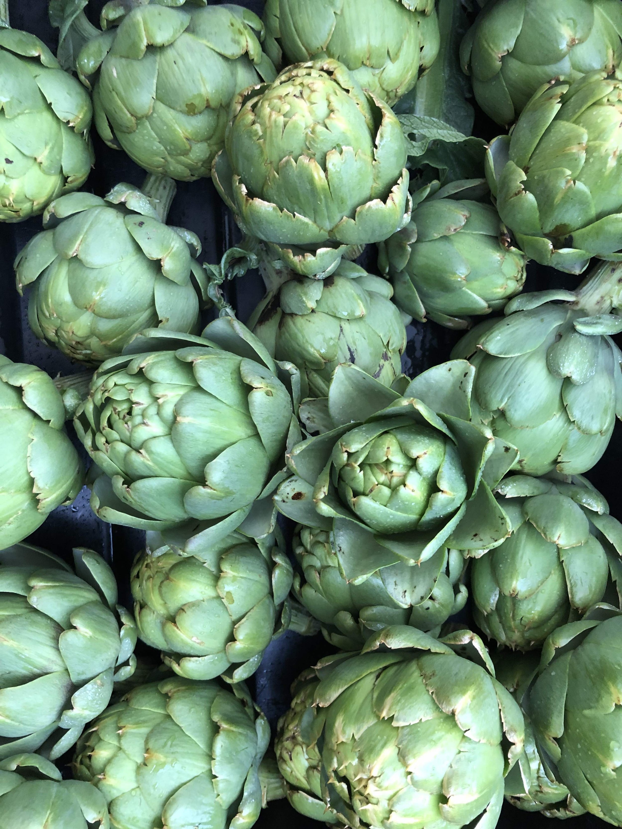 Artichokes.jpg