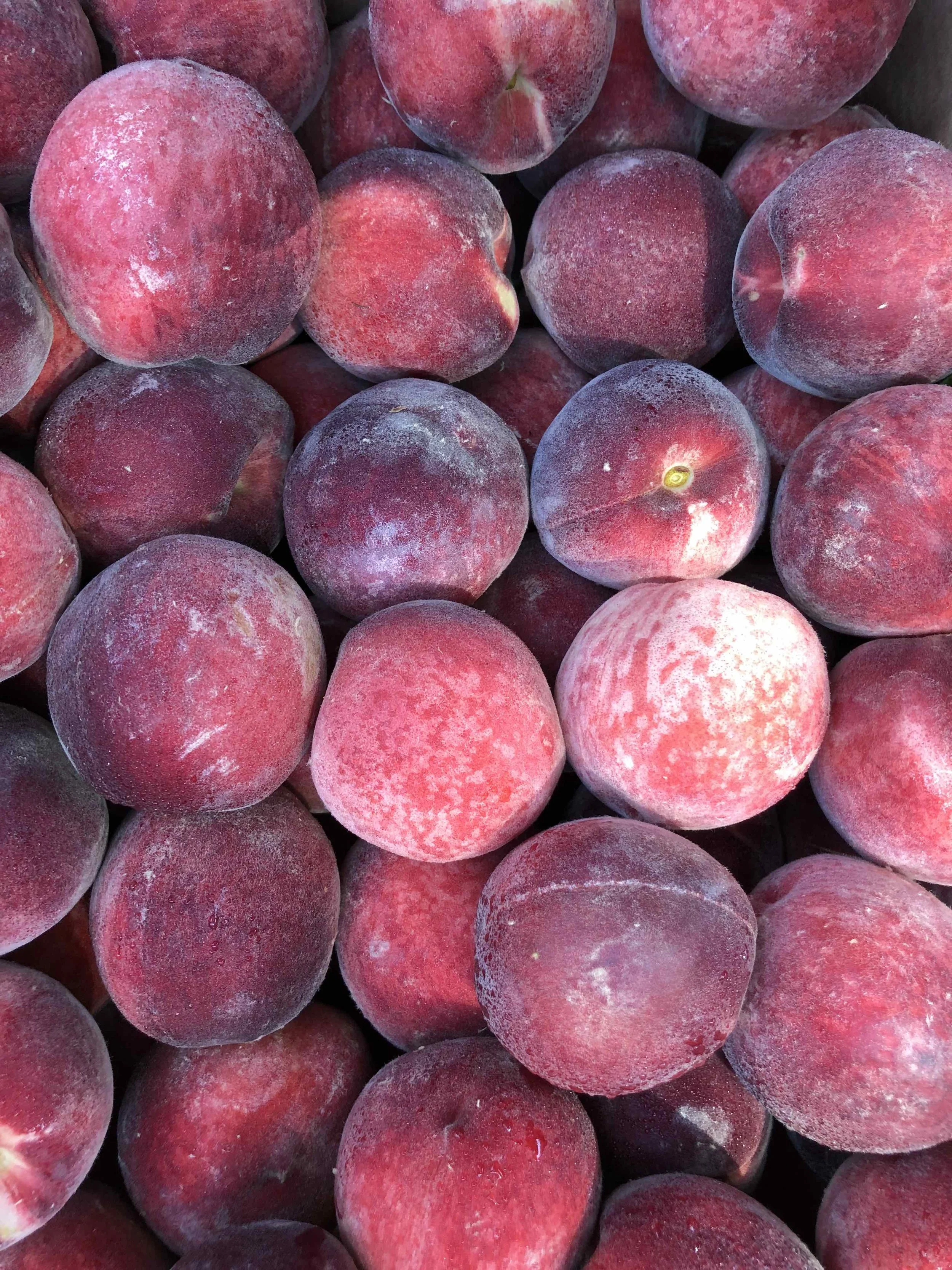 Peaches.jpg