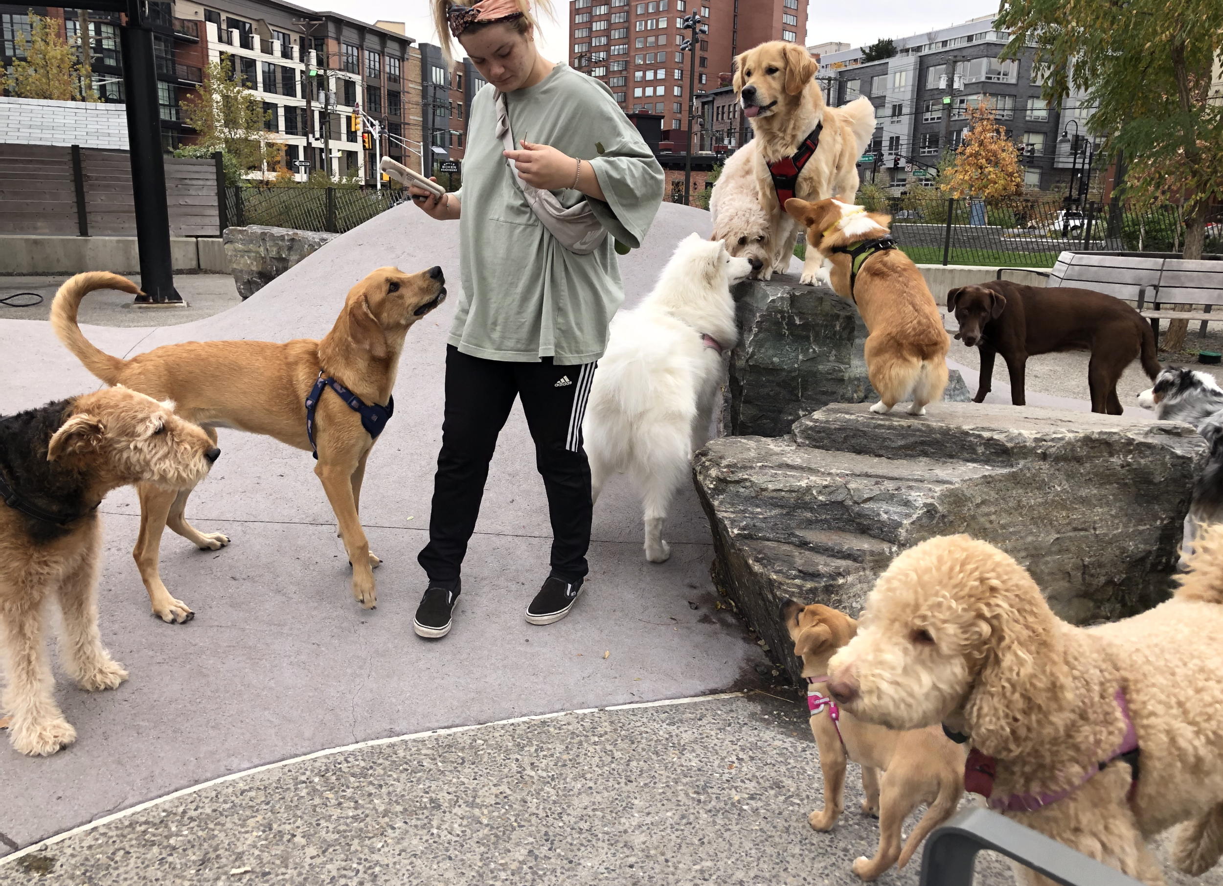 Phoebe's Picks – Best Parks and Paths in JC