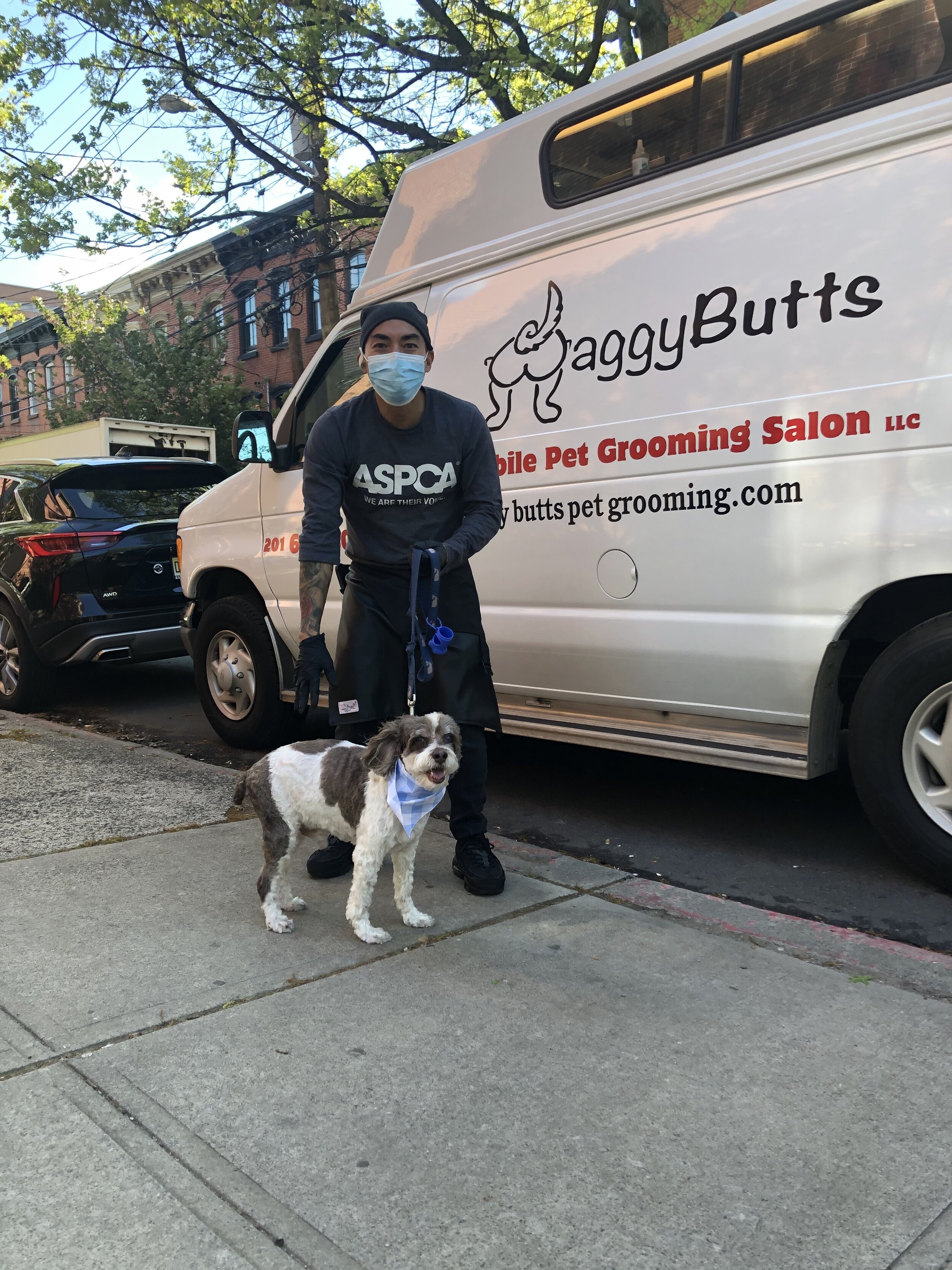 Phoebe’s Picks – Waggy Butts Mobile Grooming