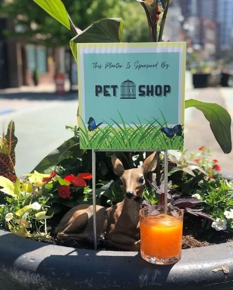 Pet Shop Celebrates 5 Years in JC