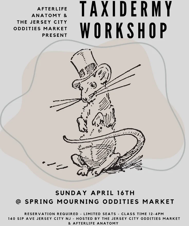 Taxidermy, Tarot Readings, Burlesque and More!