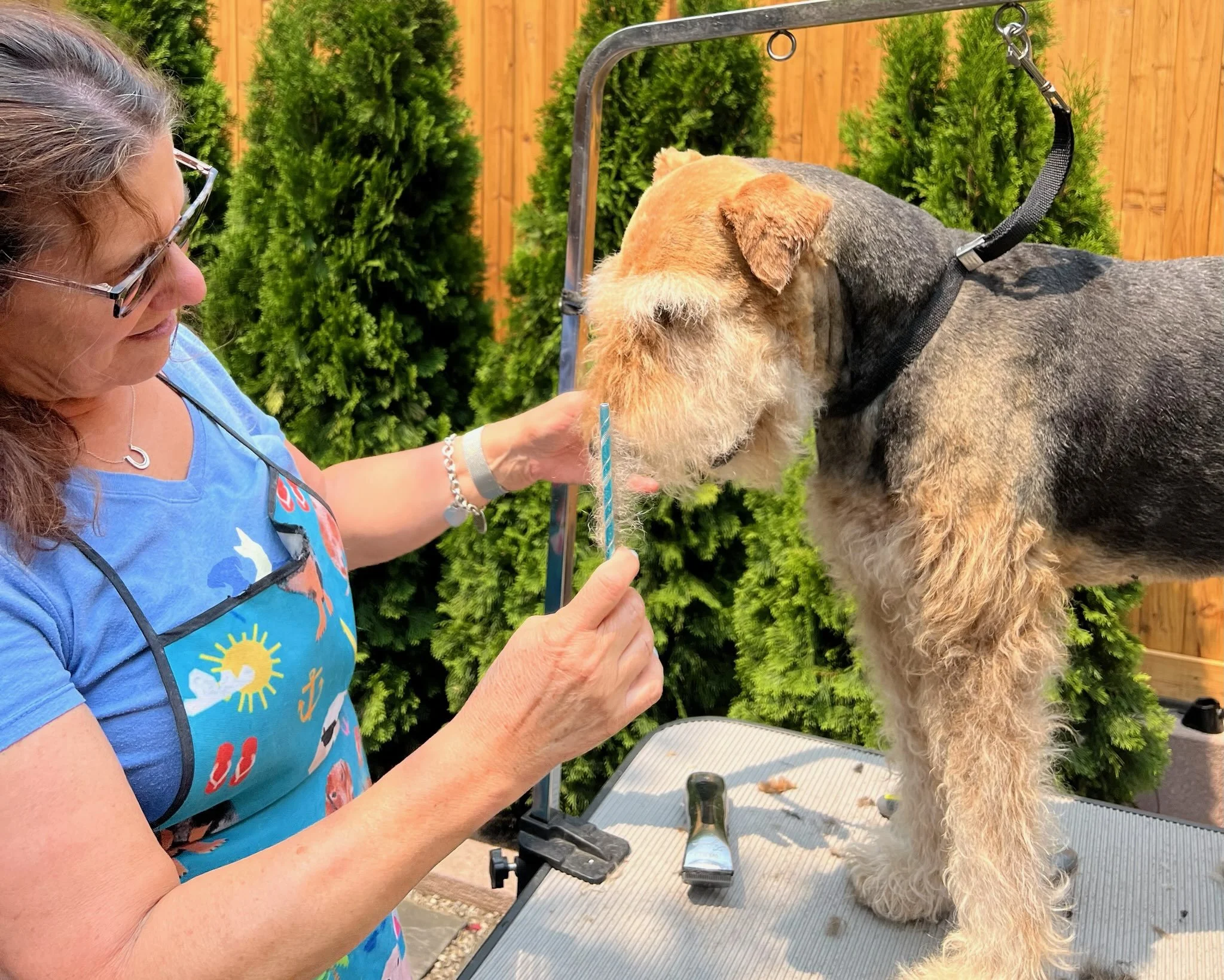 Phoebe’s Do’s and Don’ts – Summer 2023 Edition