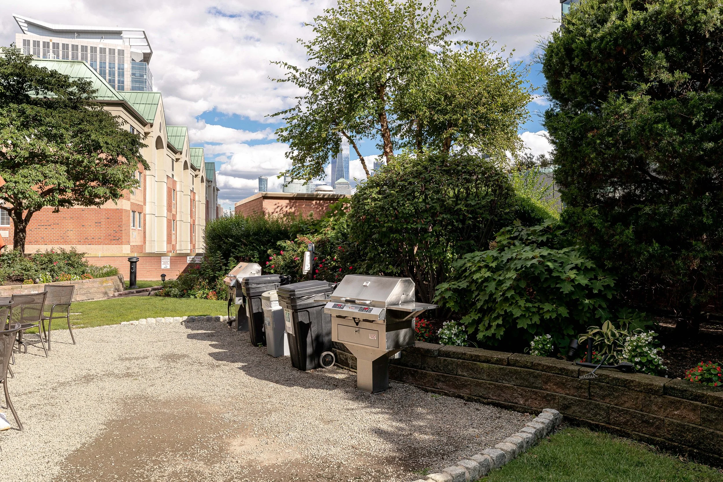 Backyard 6.jpg