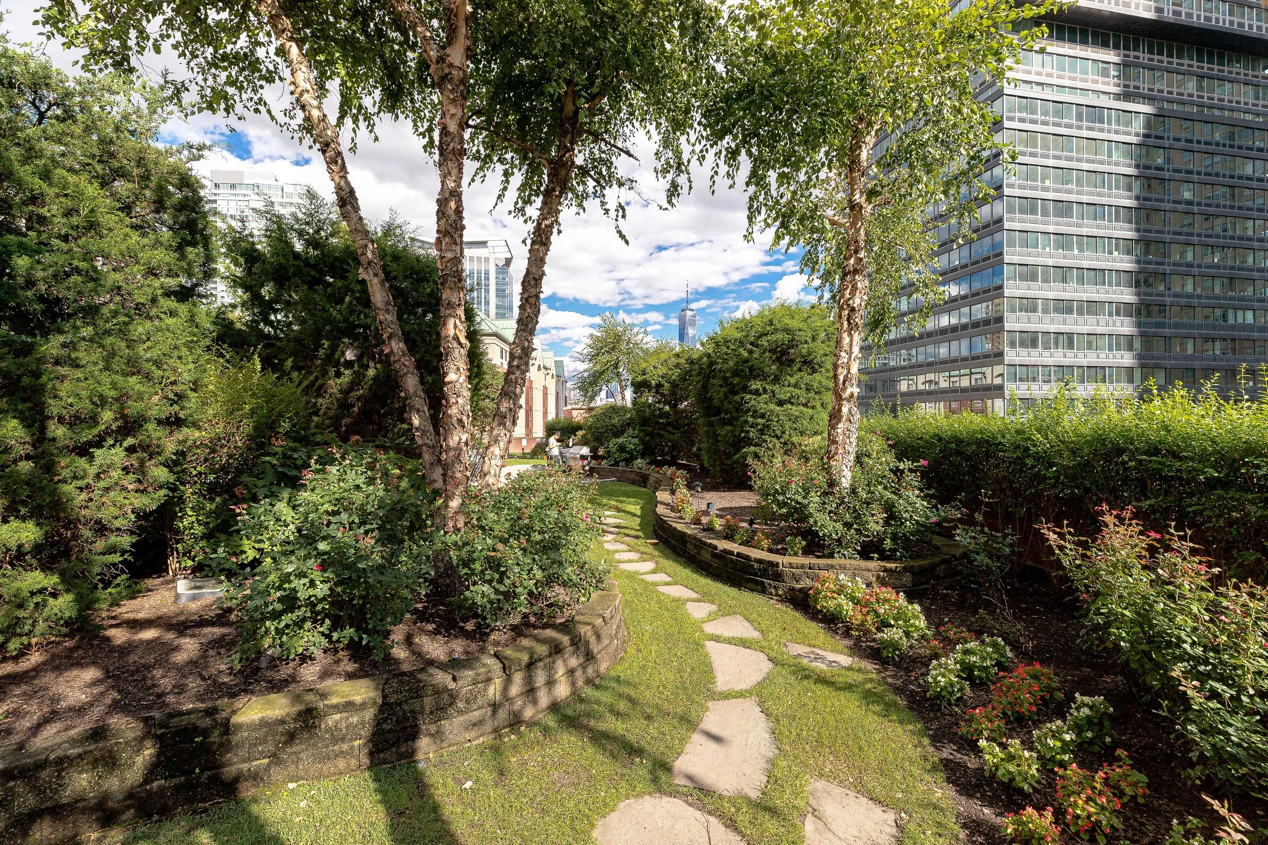 Backyard 5.jpg