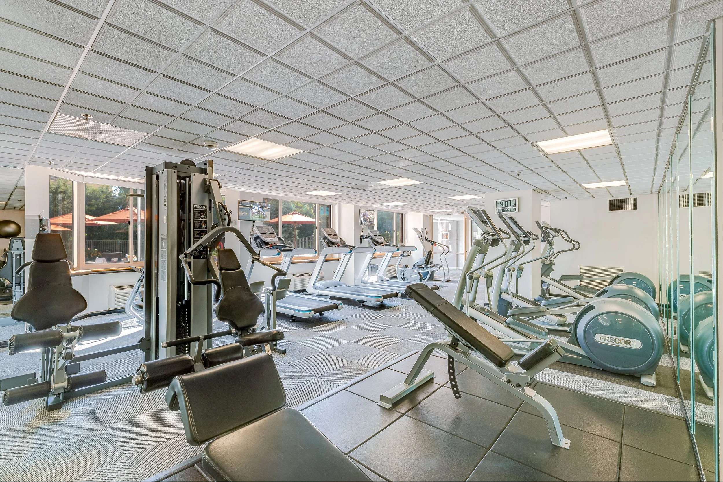 Gym 1.jpg