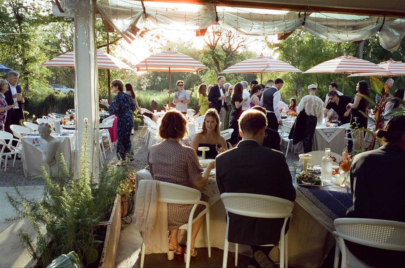 Receptions on film ✨