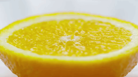 Animated GIF-downsized_large.gif