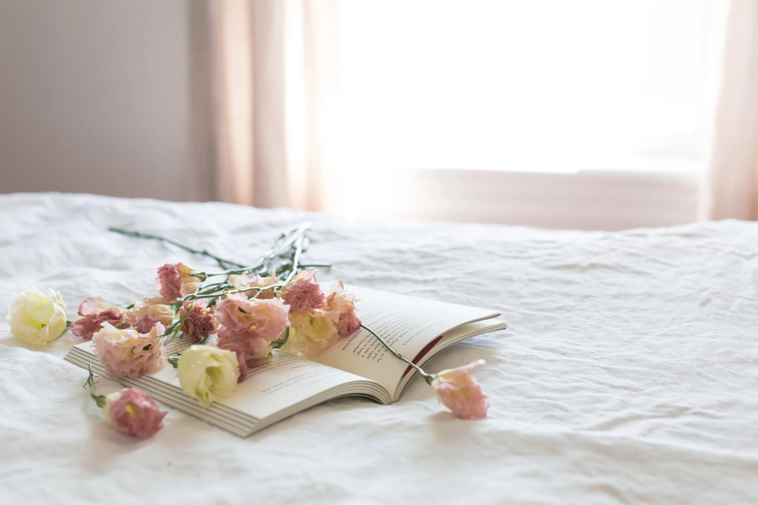 Lemon-Love_Books.jpg