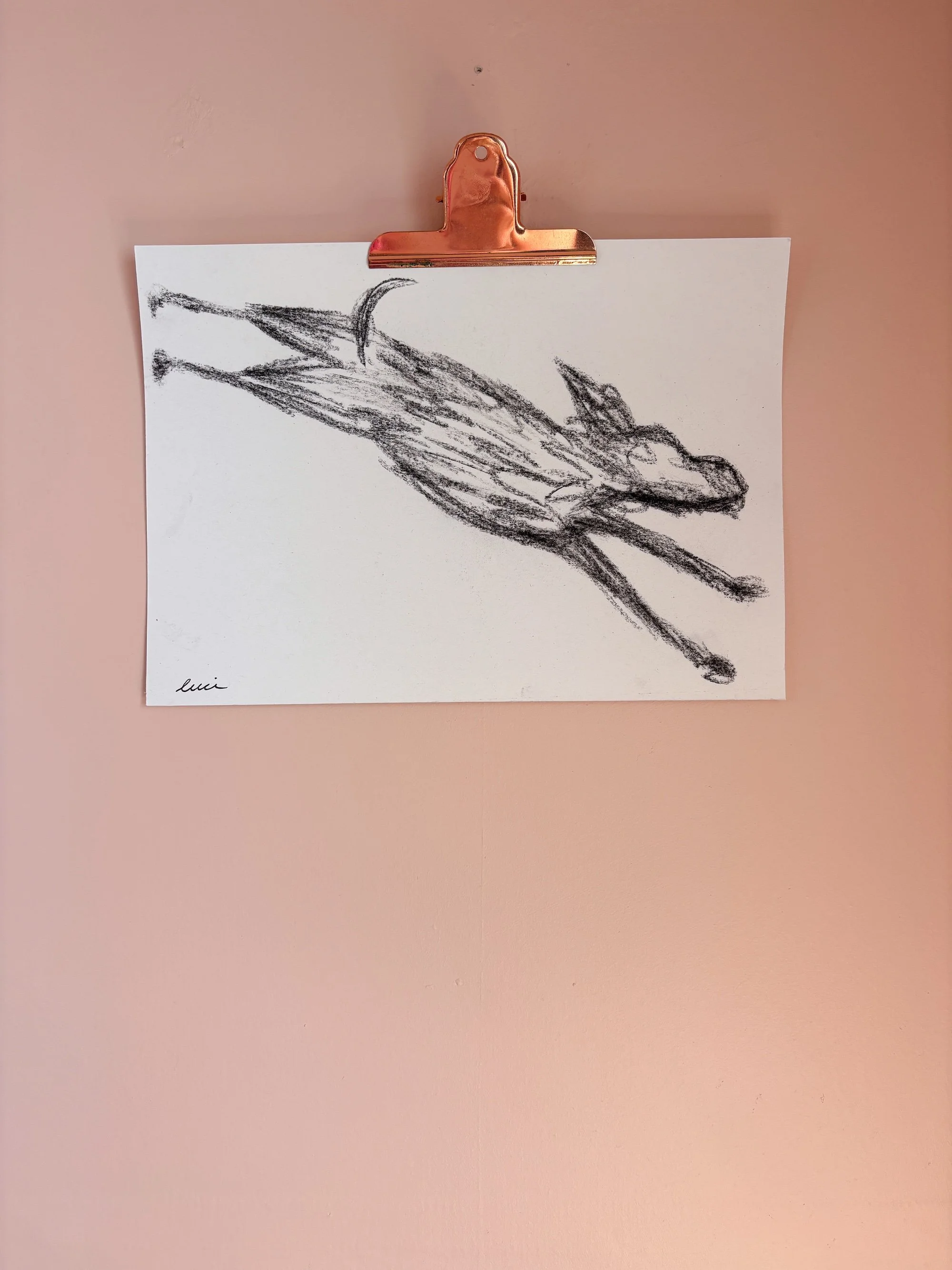 Dash Dog A4 Original Art