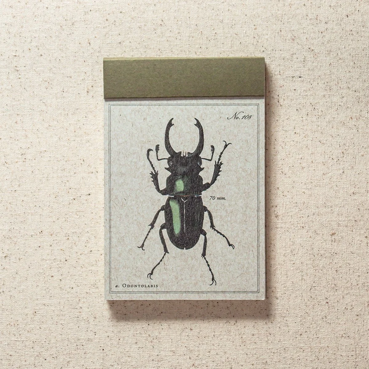 Beetle Lined Paper Notepad