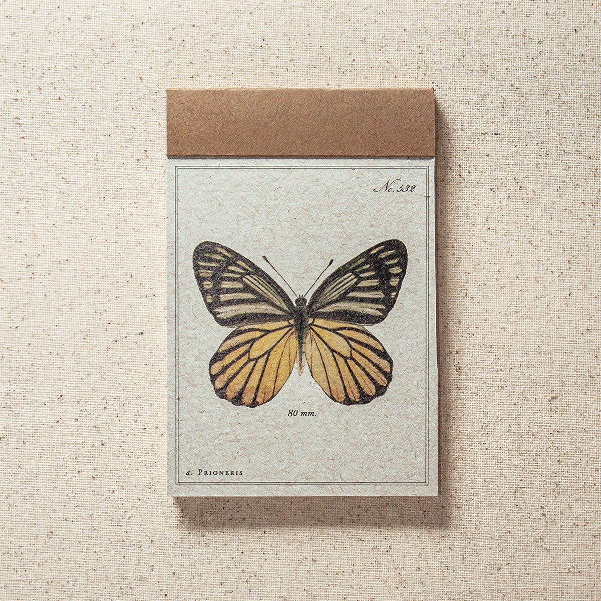Butterfly Lined Paper Notepad