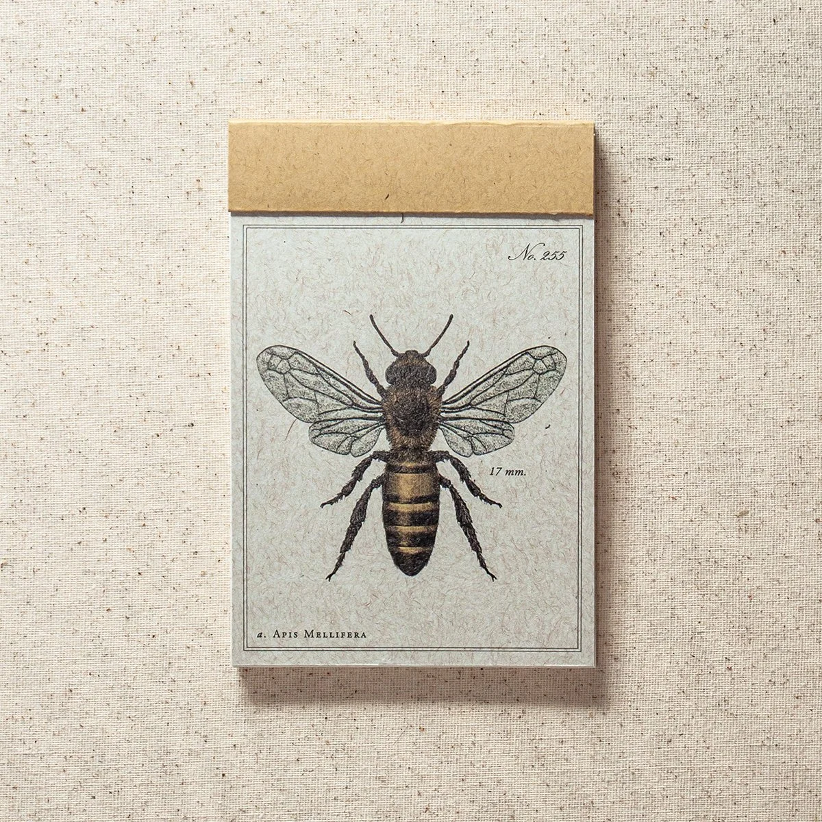 Honey Bee Lined Paper Notepad