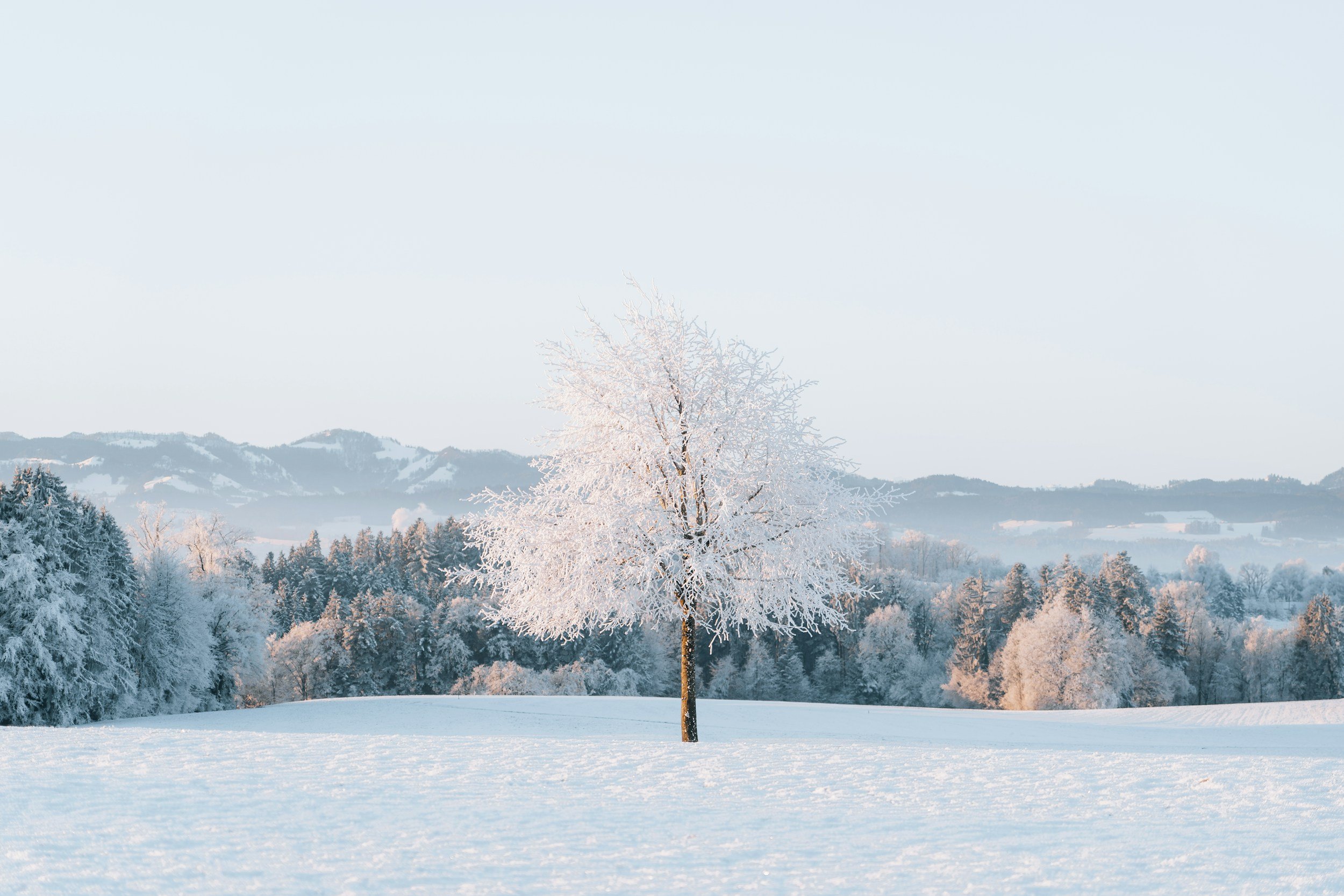 Winter Social