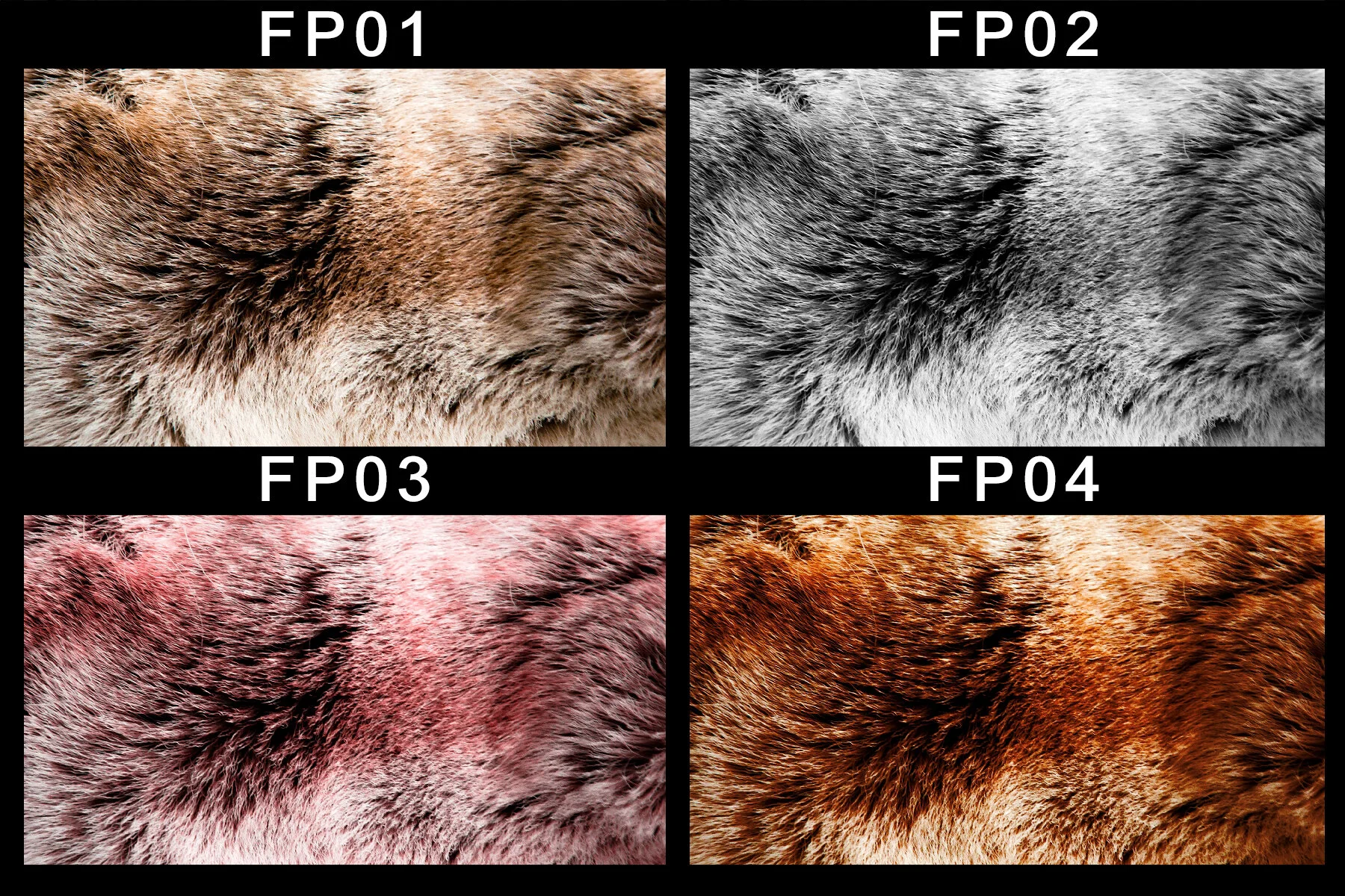 Fur Pelt Cover Image.jpg