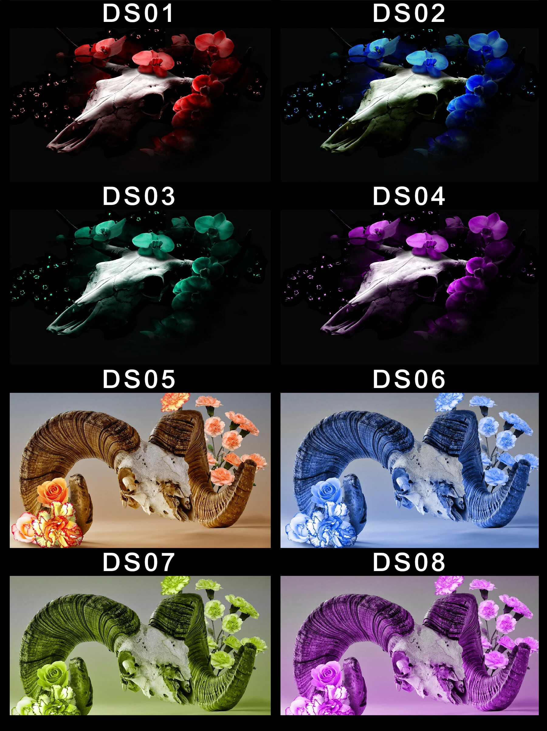 Decorative Skulls cover.jpg