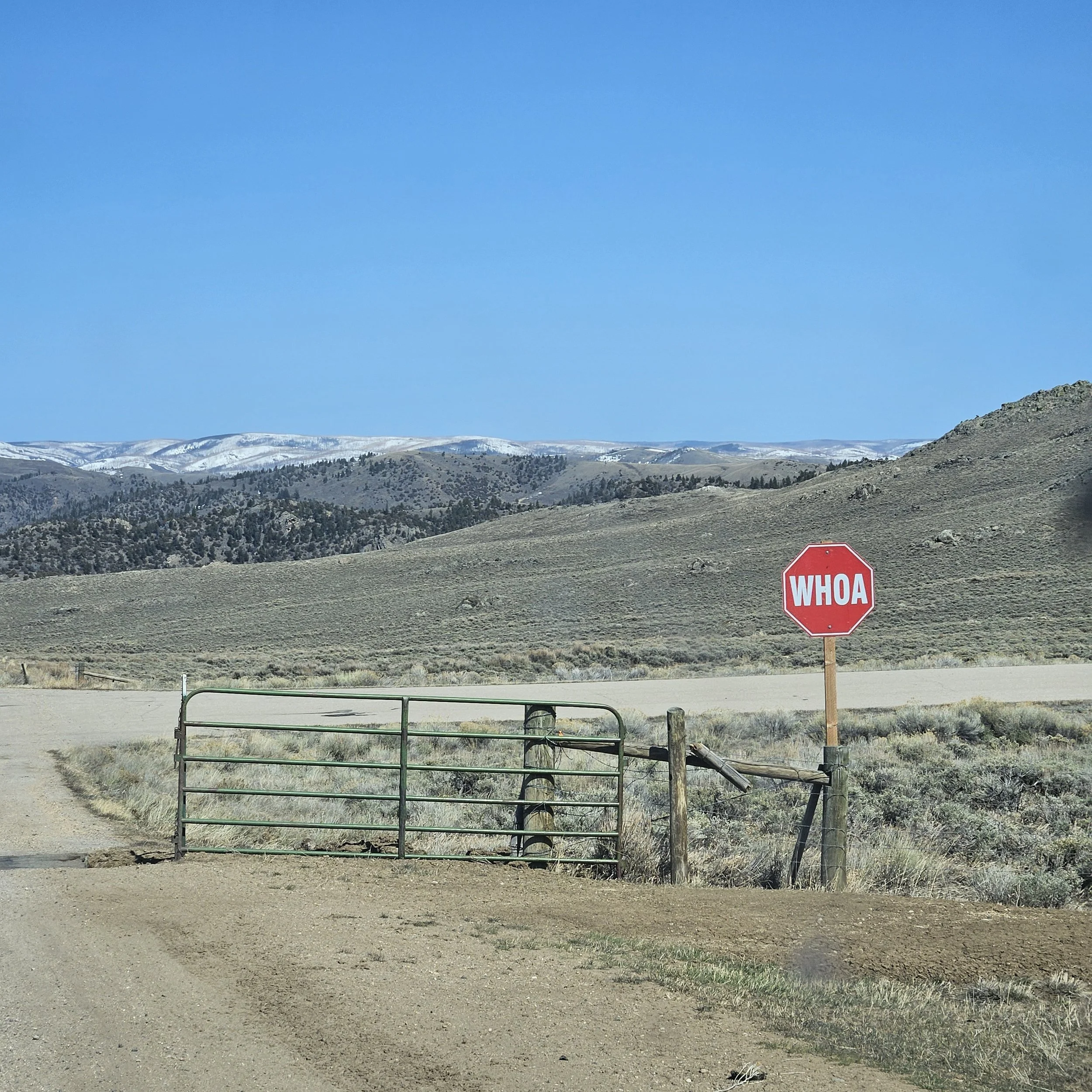 Avery Cox Designs - WY Logitics Project 