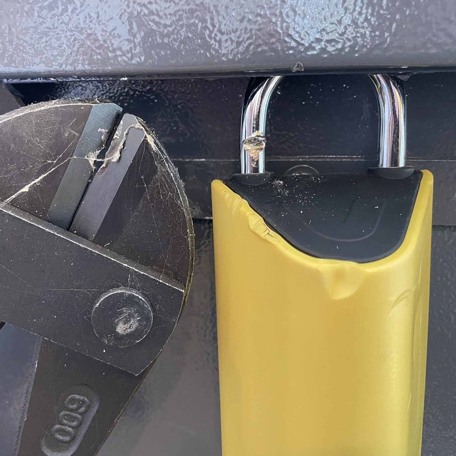 Intrusion Detection 1500x1500.jpg