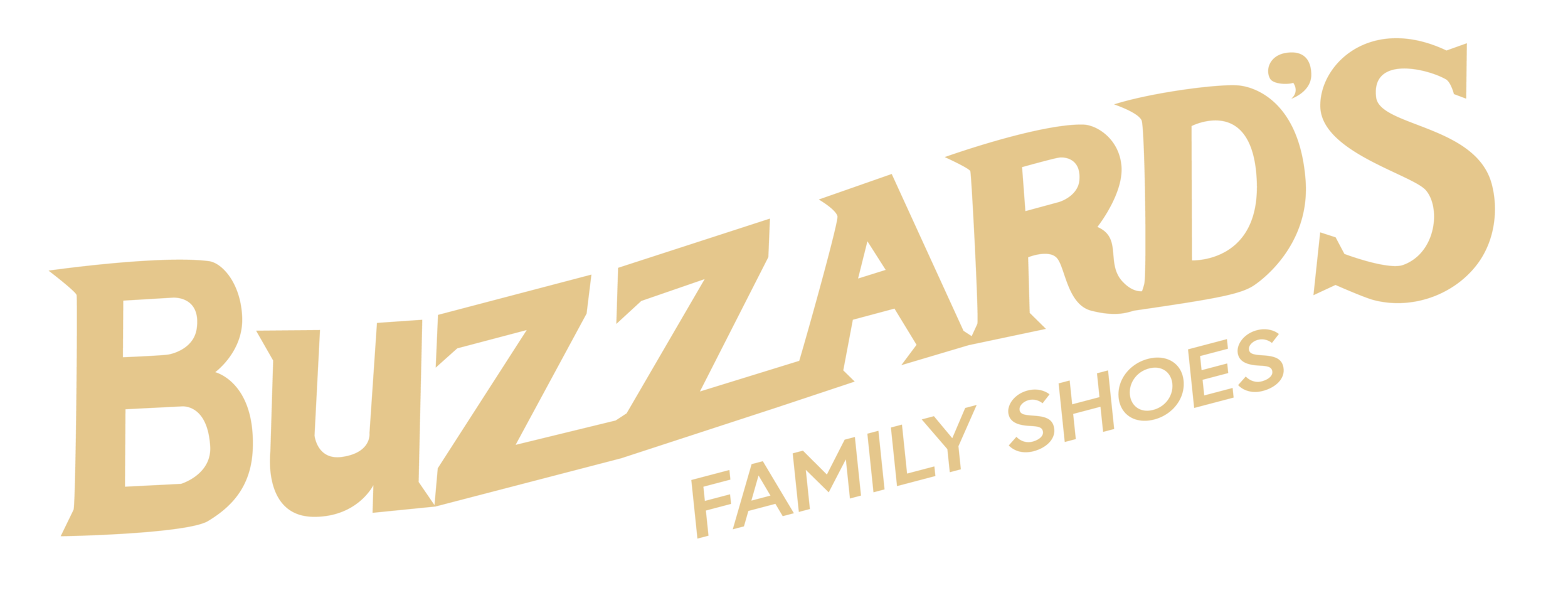 Buzzard�s Family Shoes