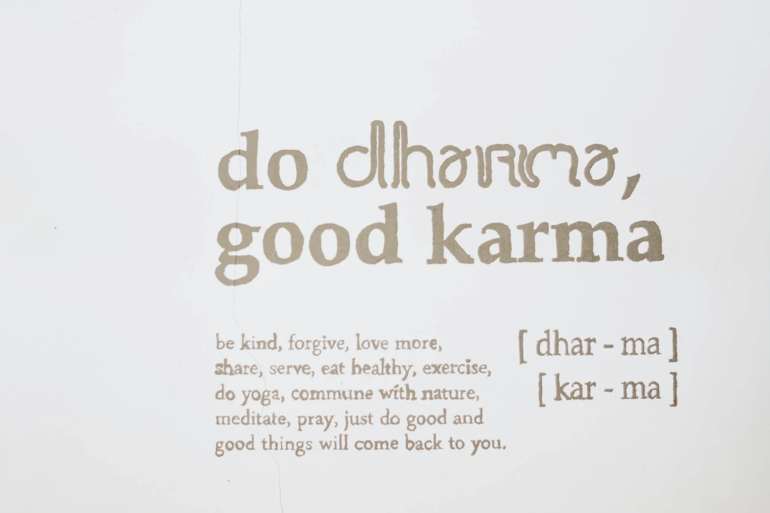 Dharma and Karma for Sarah Quinttus of Quinttusential Yoga Yoga Therapy Burlington Vermont