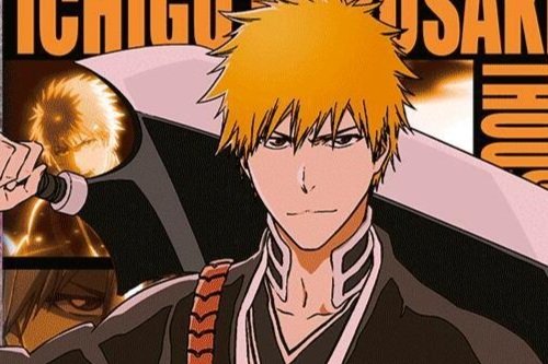 How to Play My Purple BLEACH Turbo Deck