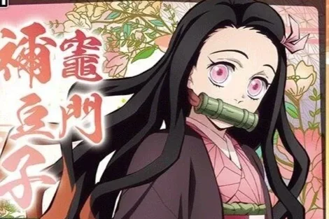 1st Place Blue Tanjiro/Nezuko Deck – UNION ARENA