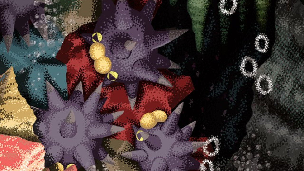 Pincurchin Illustration Rare and Meowscarada ex Delta Reign Cards Revealed