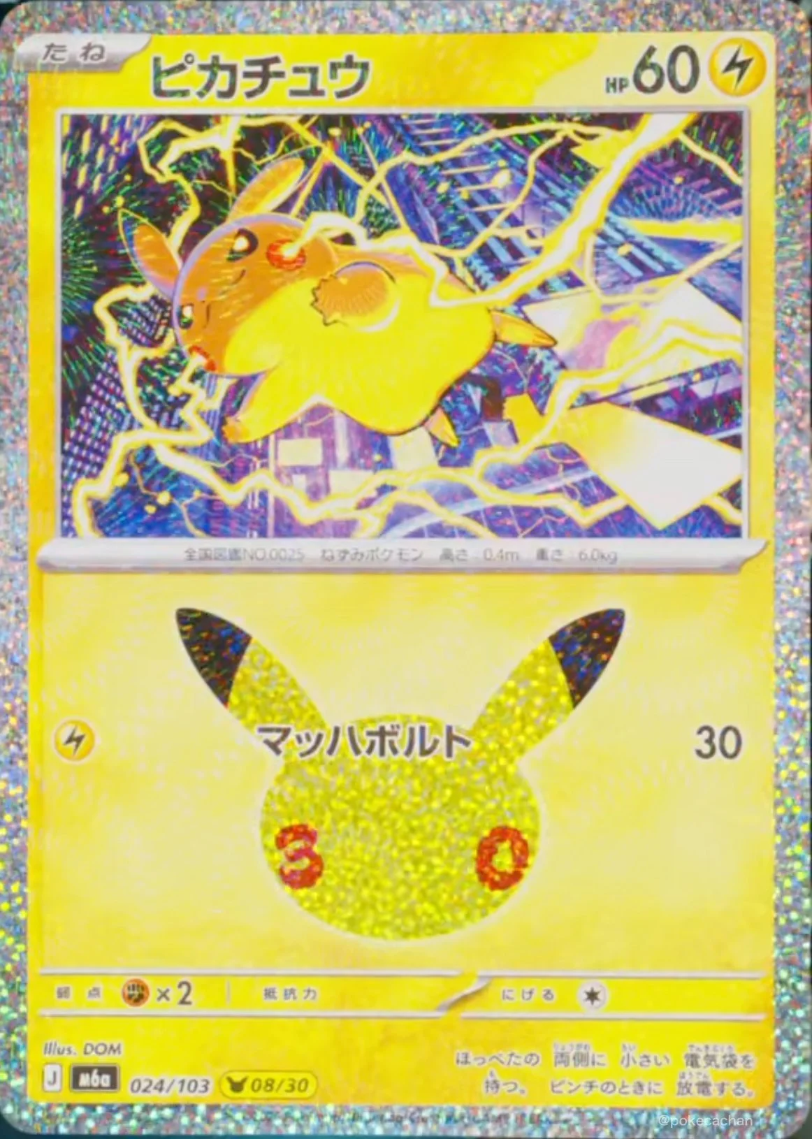Pikachu Collection Card