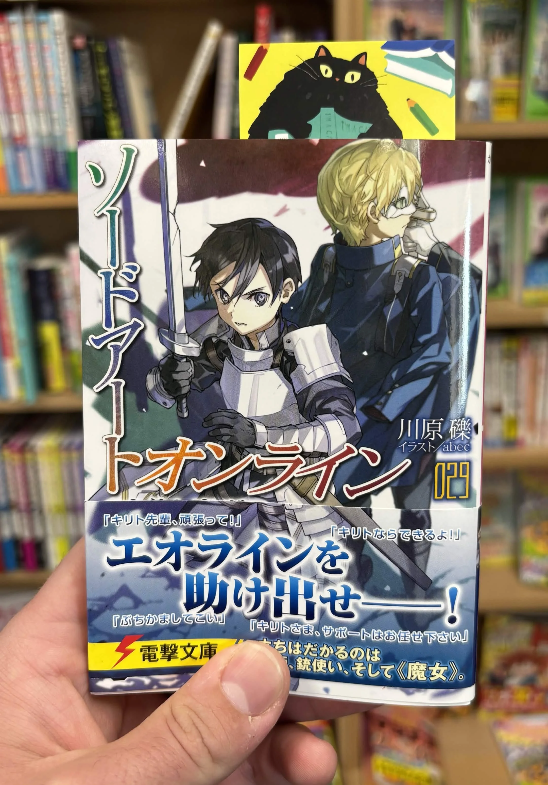 SAO Vol. 29